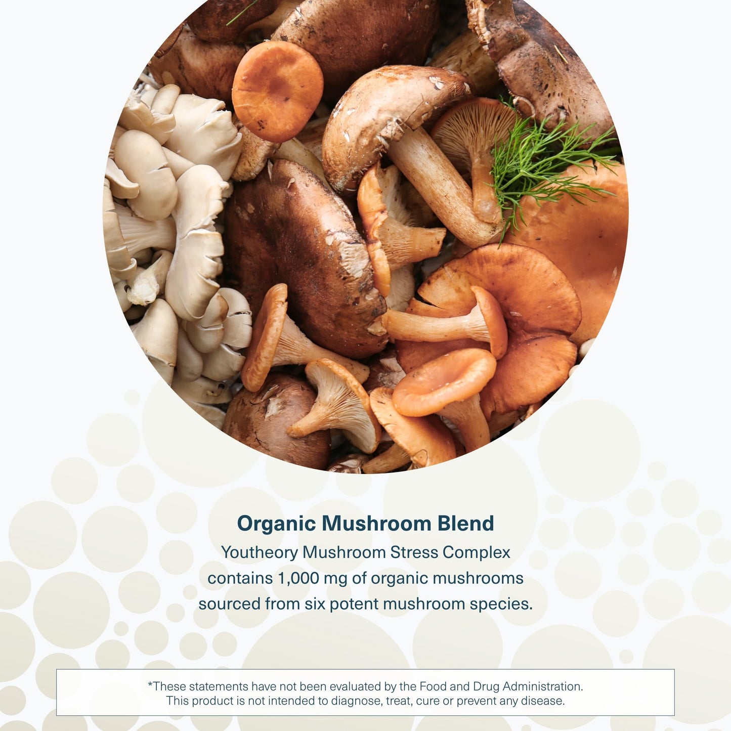 Youtheory Mushroom Immune Complex Capsules, 60 Count