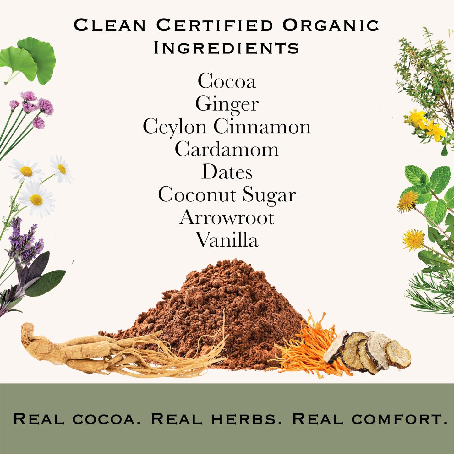 Herbal Roots Organic Digestive Spiced Herbal Cocoa Powder, 8 oz