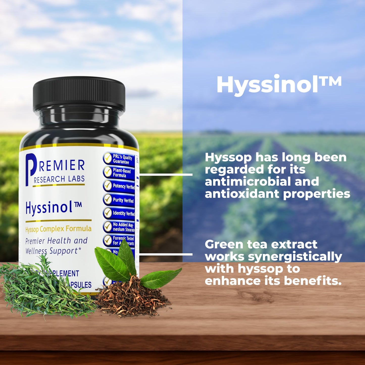 Premier Research Labs Hyssinol Hyssop Capsules, 60 Capsules