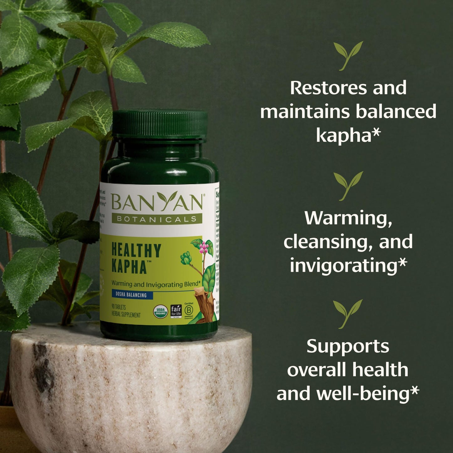 Banyan Botanicals Healthy Kapha Tablets 90