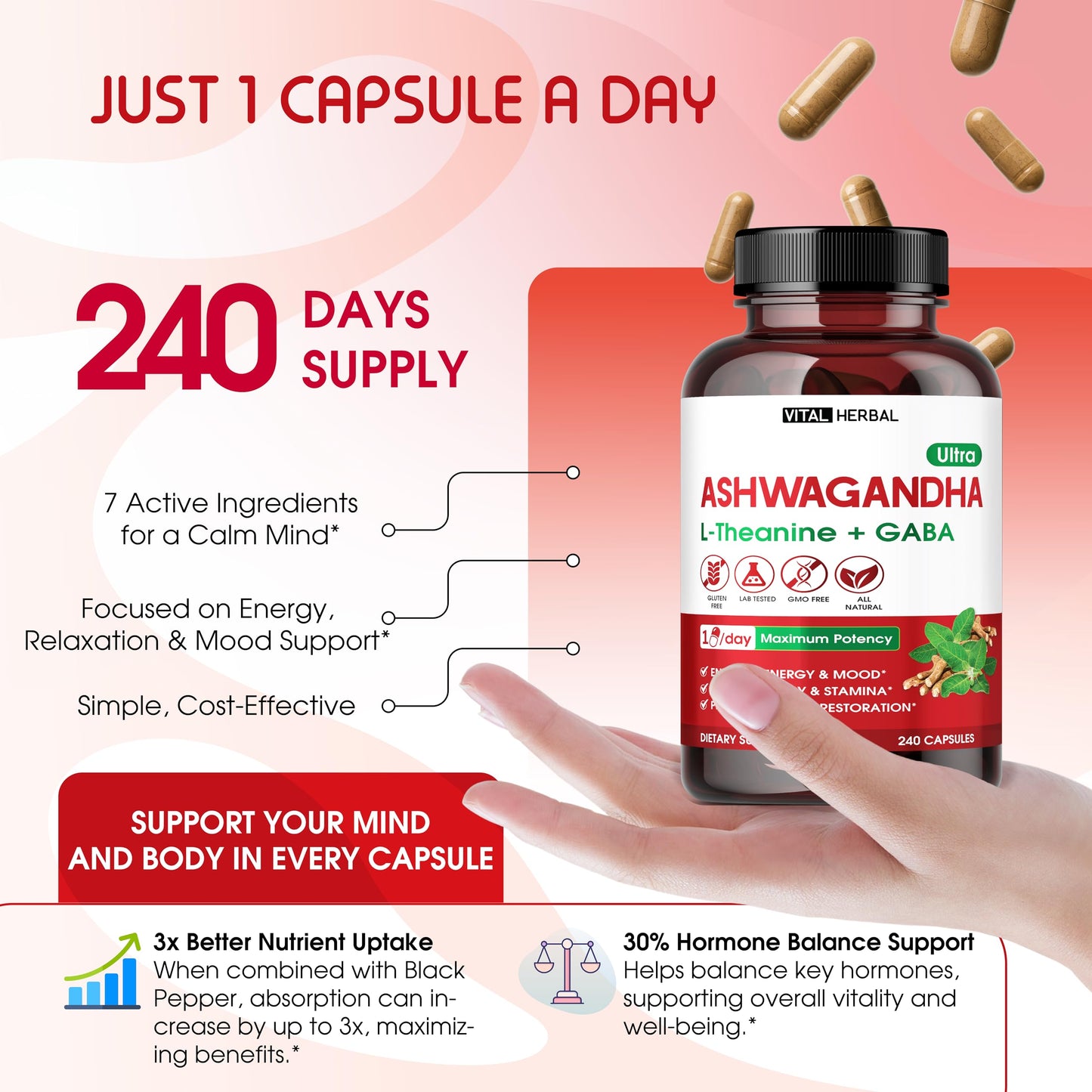 VITAL HERBAL Ashwagandha Complex with L-Theanine, Turmeric, Rhodiola & St. John’s Wort – Herbal Blend for Daily Wellness Capsules, 240 Count