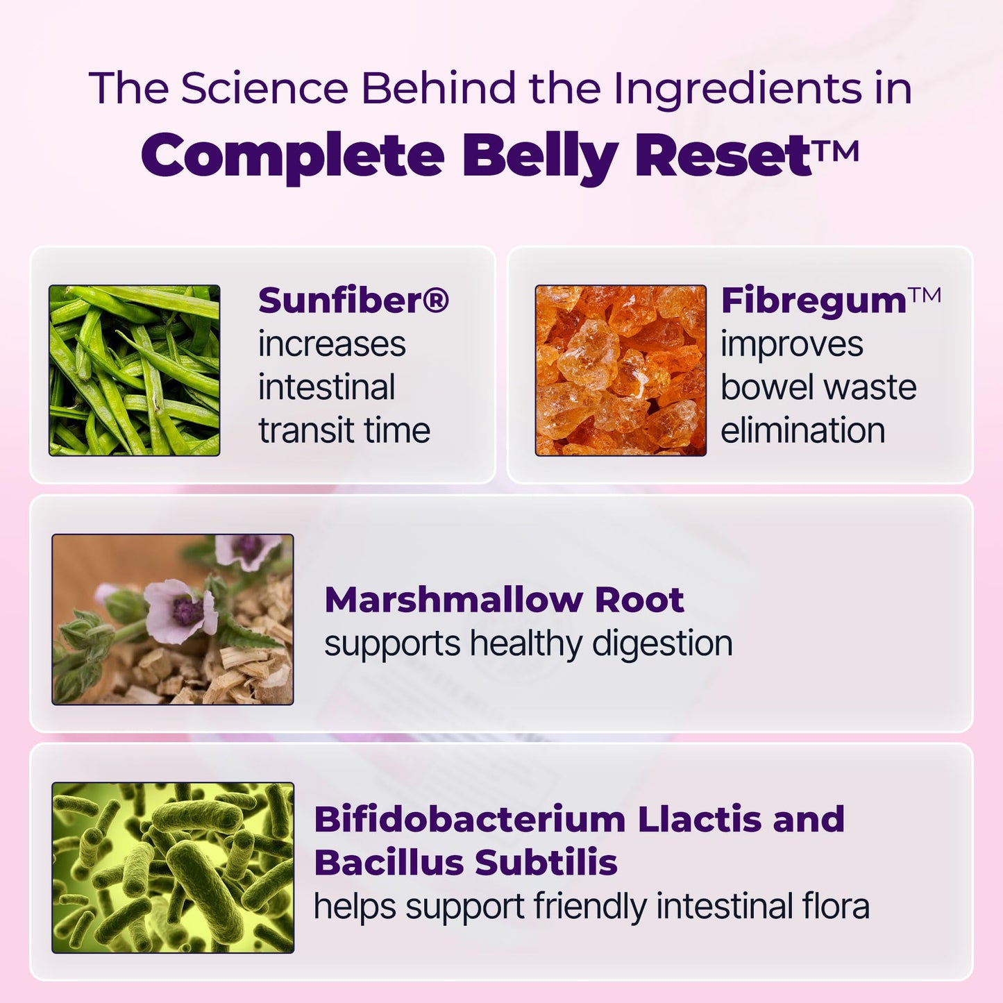 Happy Mammoth Complete Belly Reset Digestive Health Supplement Powder, 8.46 Ounce