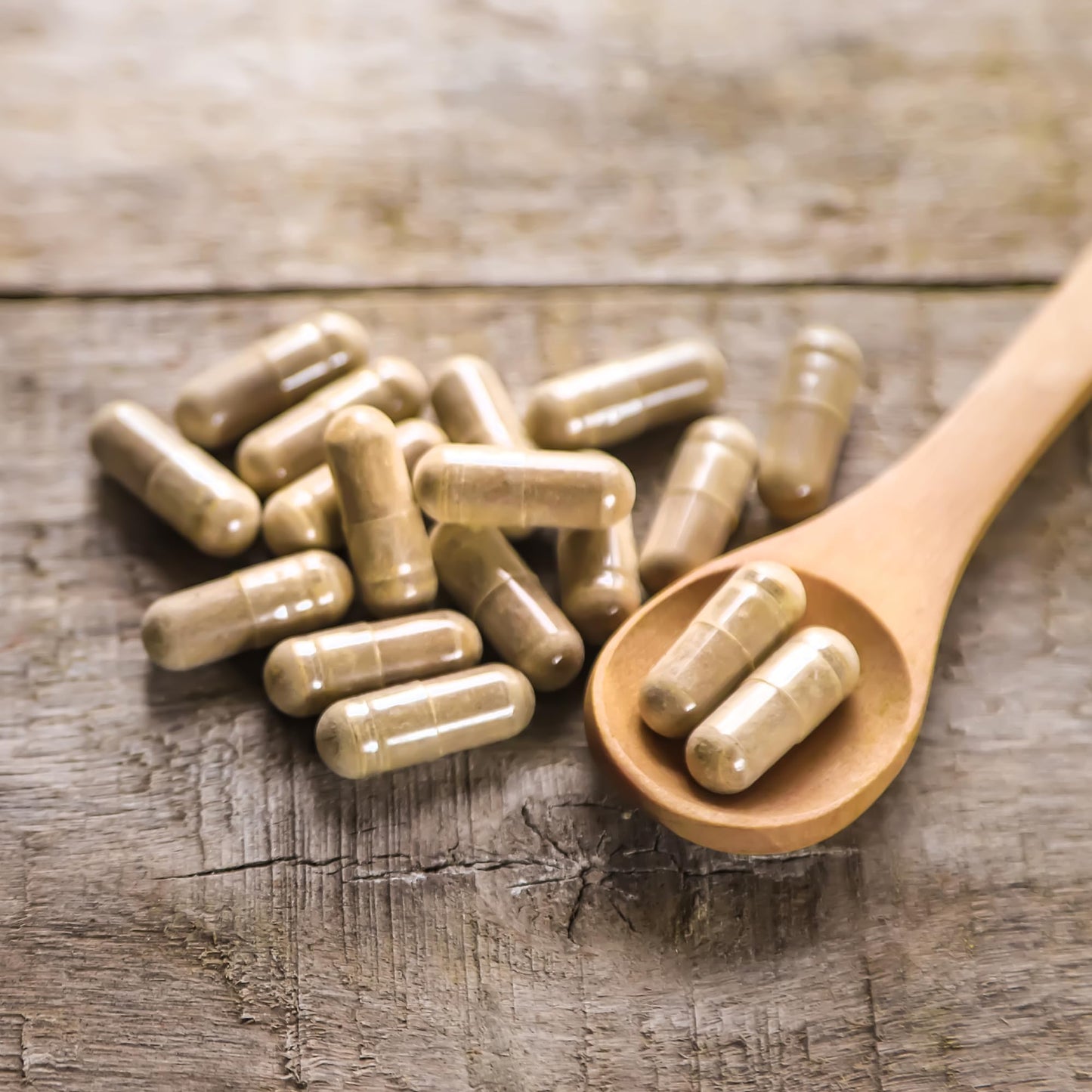 Earthborn Elements Black Cohosh Capsule 200 Count