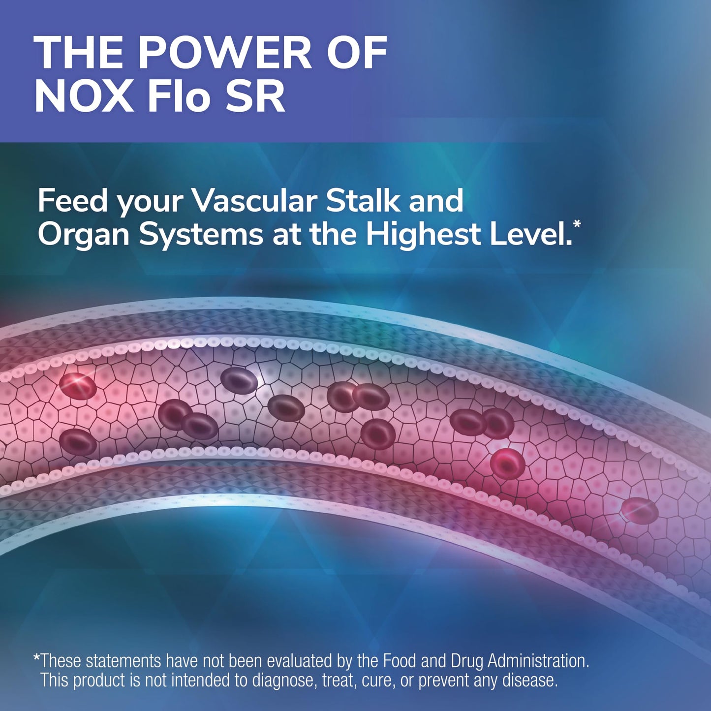 Tesseract Medical Research NOX Flo SR Nitric Oxide Booster 120 Capsules