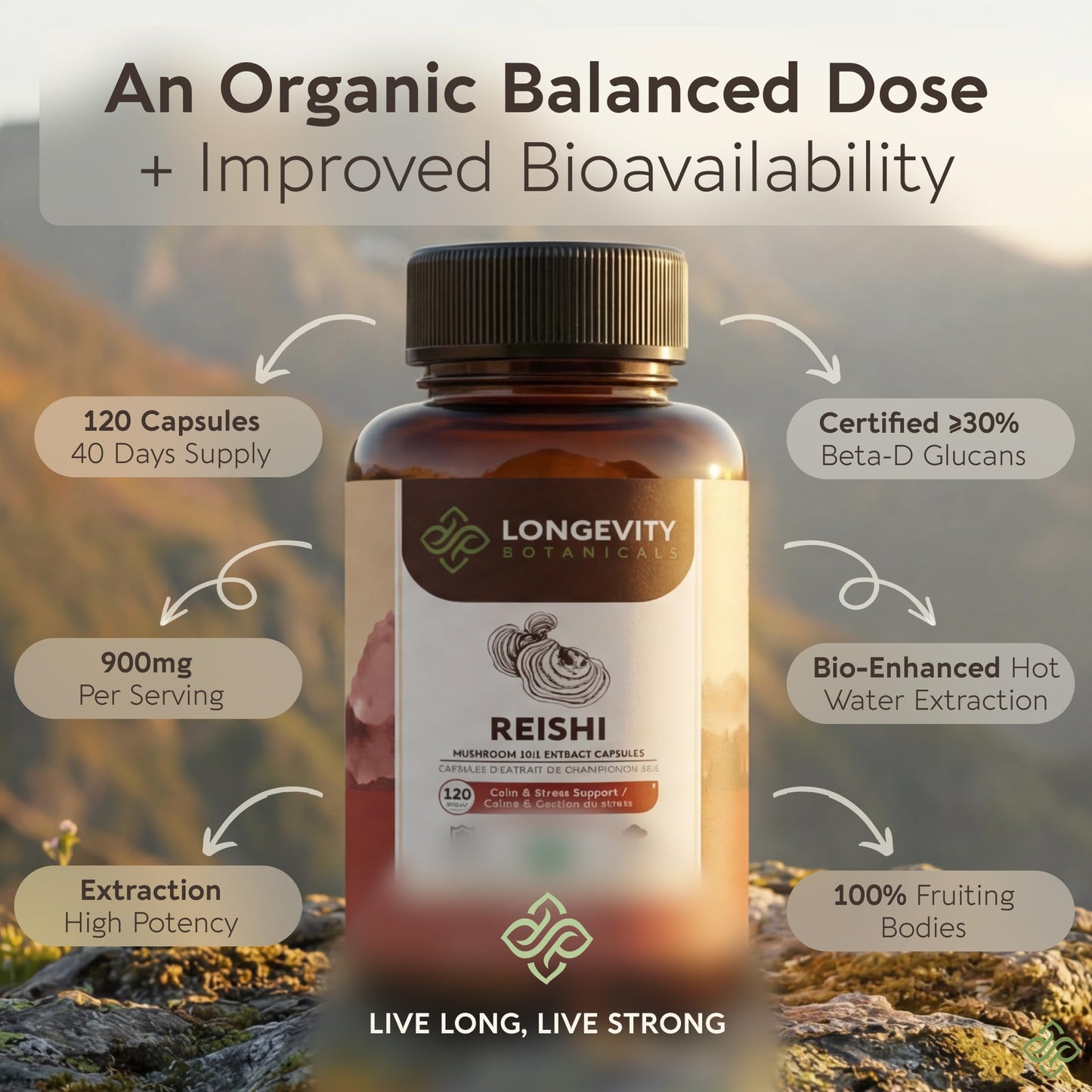 Longevity Botanicals Organic Reishi Mushroom Capsules, 120 Count