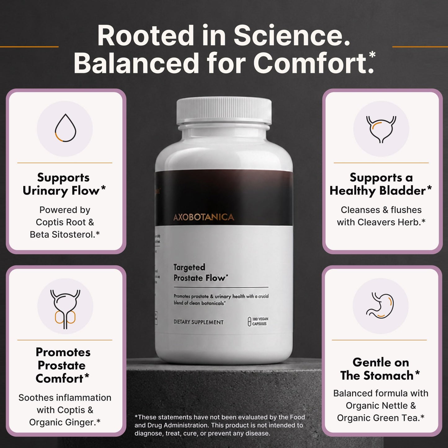 Axobotanica Targeted Botanical Flow for Men – Organic Nettle Leaf, Beta-Sitosterol & Plant Sterol Blend – Daily Urinary and Bladder Support Capsules 180