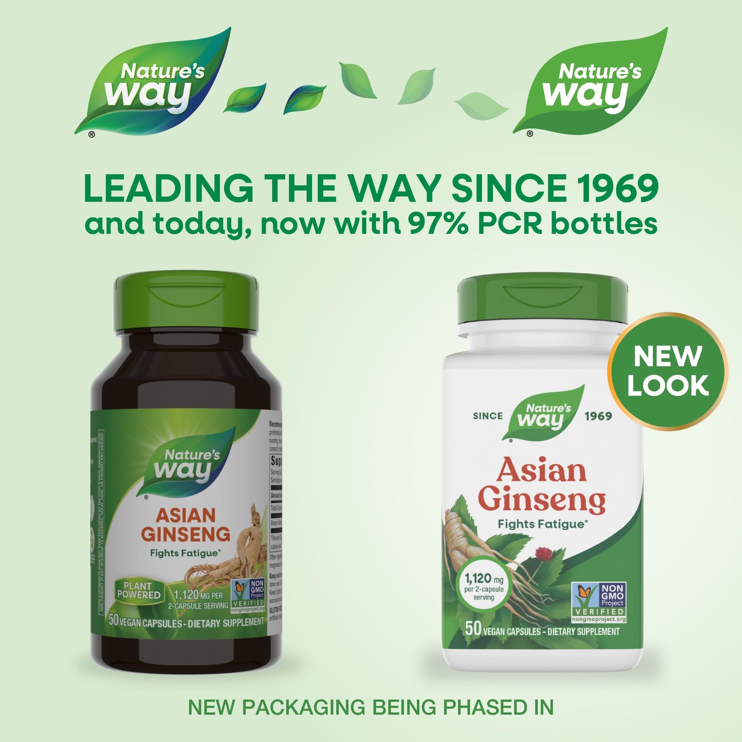 Nature's Way Asian Ginseng Capsule 50 Capsules