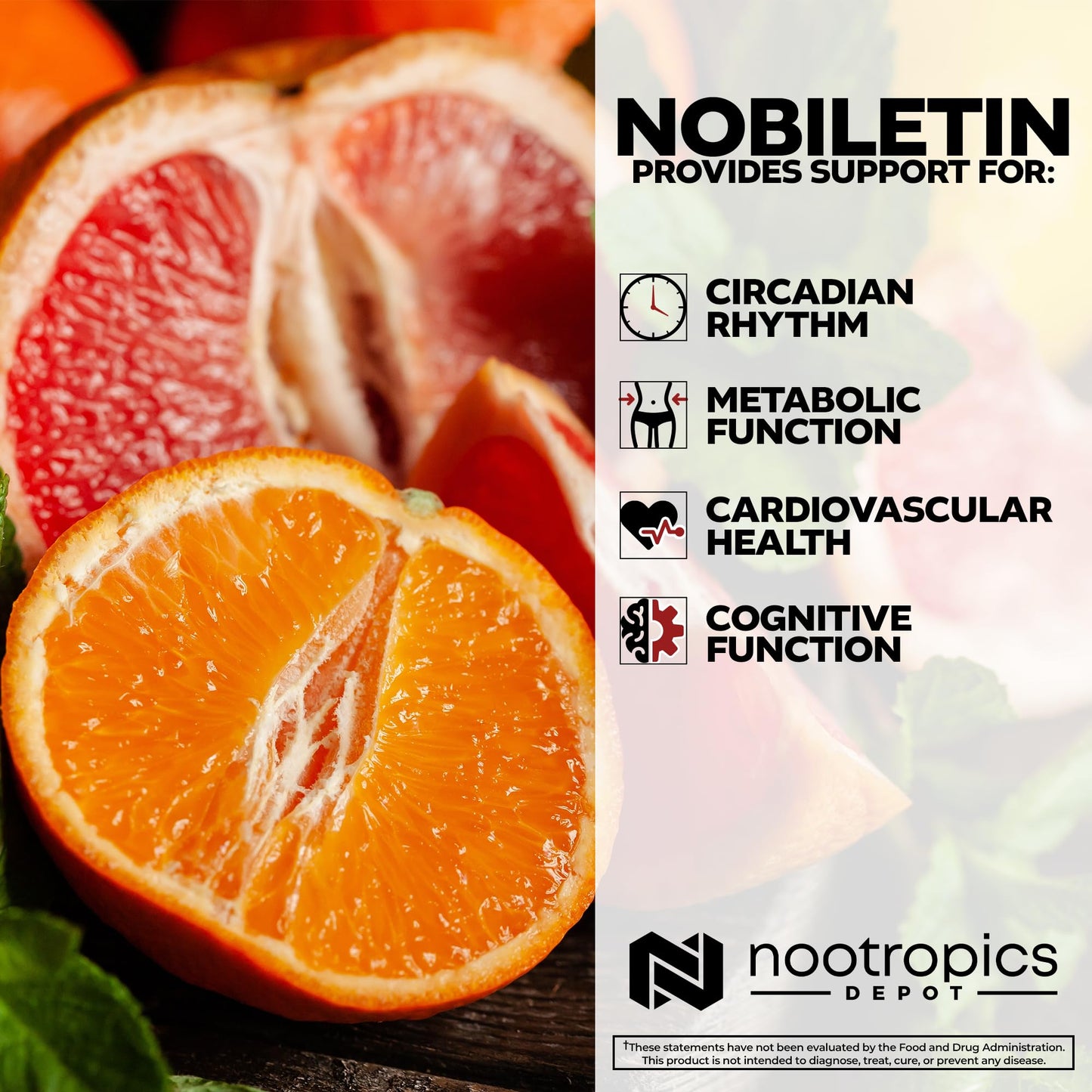 Nootropics Depot Nobiletin 250mg Capsule, 30 Count