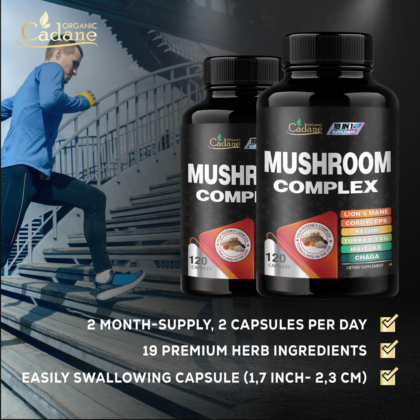Organic Cadane Mushroom Complex Supplements 19in1 Concentrated with Lions Mane, Cordyceps Sinensis, Reishi, Turkey Tail Mushroom, Maitake, Chaga, Shiitake, Enoki, Agaricus, and More 120 Capsules
