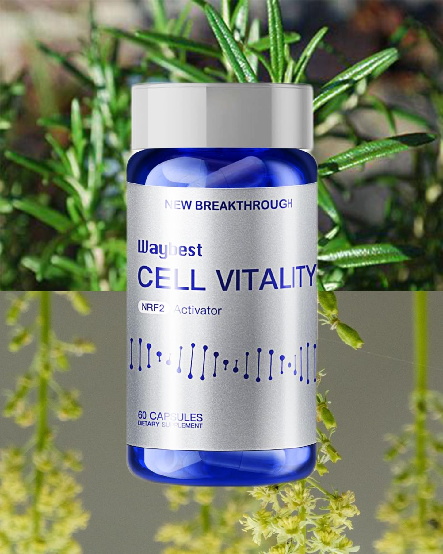 EBAT Oxidative Stress Relief Formula by Waybest Cell Vitality NRF2 Activator Capsule 180 Count