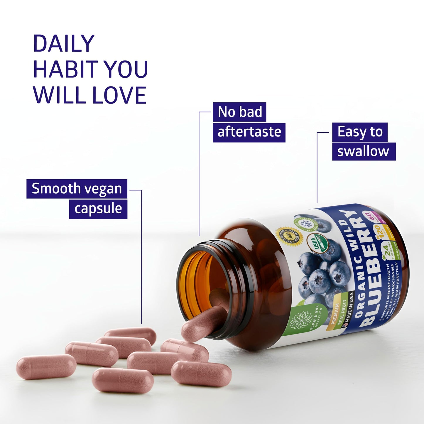Number One Nutrition Organic Wild Blueberry Extract 1000mg Brain and Immune Support, Non-GMO, 120 Capsules