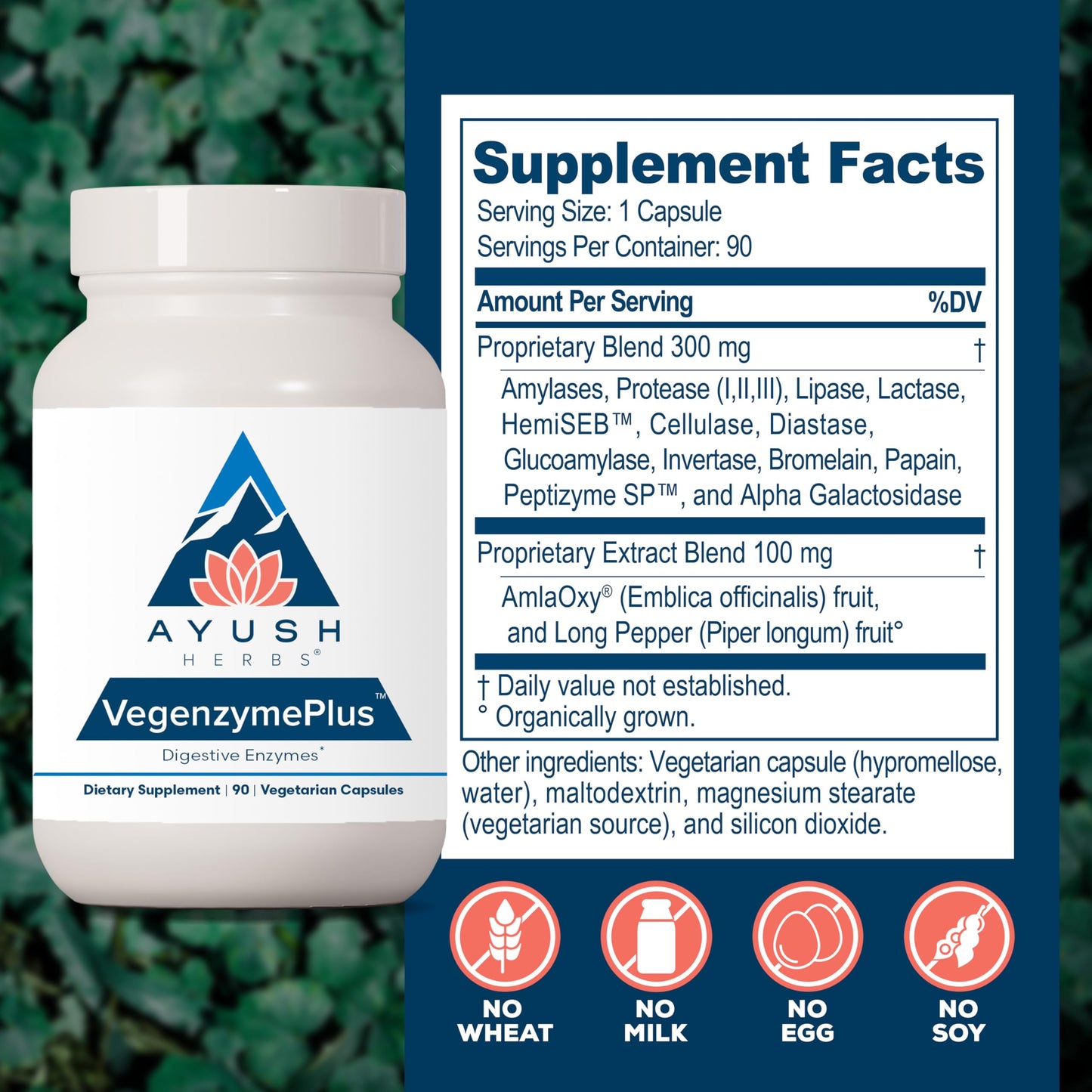 Ayush Herbs VegenzymePlus Digestive Enzymes for Women & Men with Bromelain, Lipase, Lactase, Protease, 100% Vegetarian Gut Health Supplement, Capsule, 90 Count