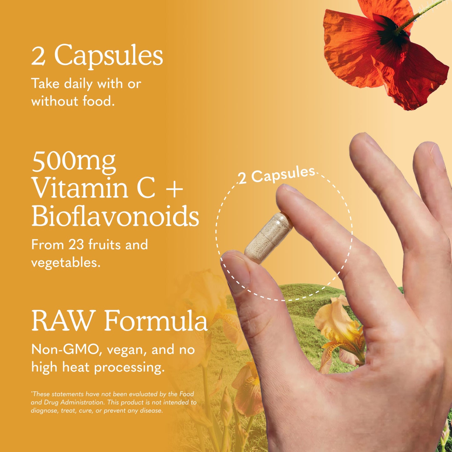 Garden of Life Vitamin Code Raw Vitamin C Capsule 120 Count