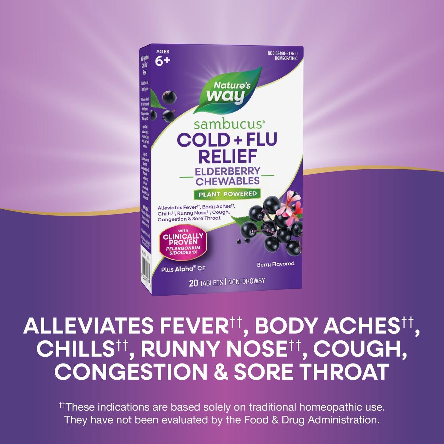 Nature's Way Sambucus Cold + Flu Relief Elderberry Tablets, 20 Tablets