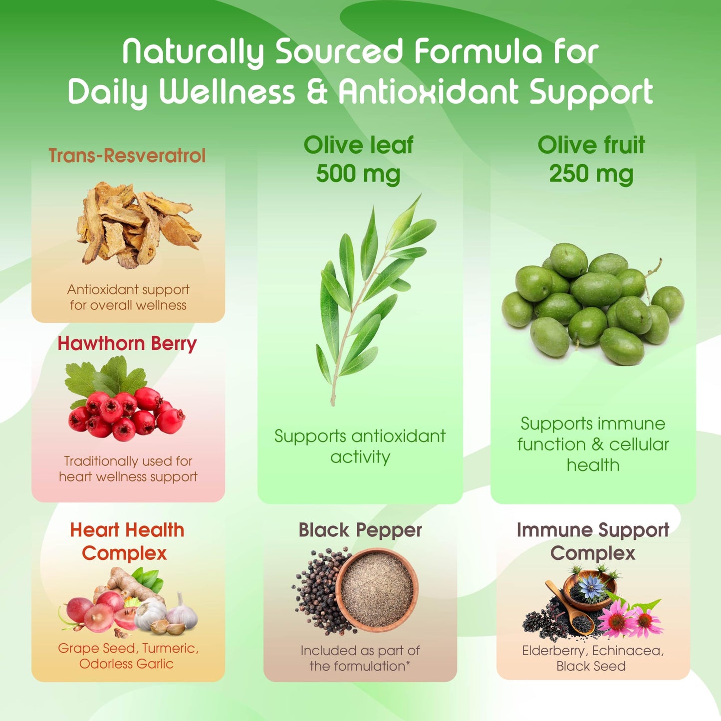 VITAL HERBAL Organic Olive Fruit & Leaf with Hawthorn Berry Capsules, 150 Capsules