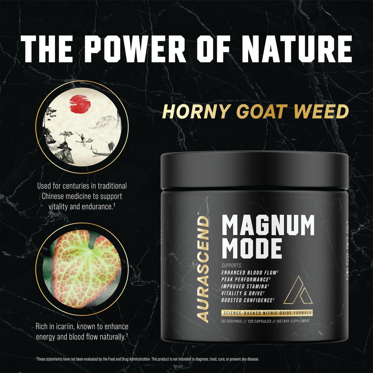 Aurascend Magnum Mode Nitric Oxide Supplements for Men with L Arginine, 120 Capsules