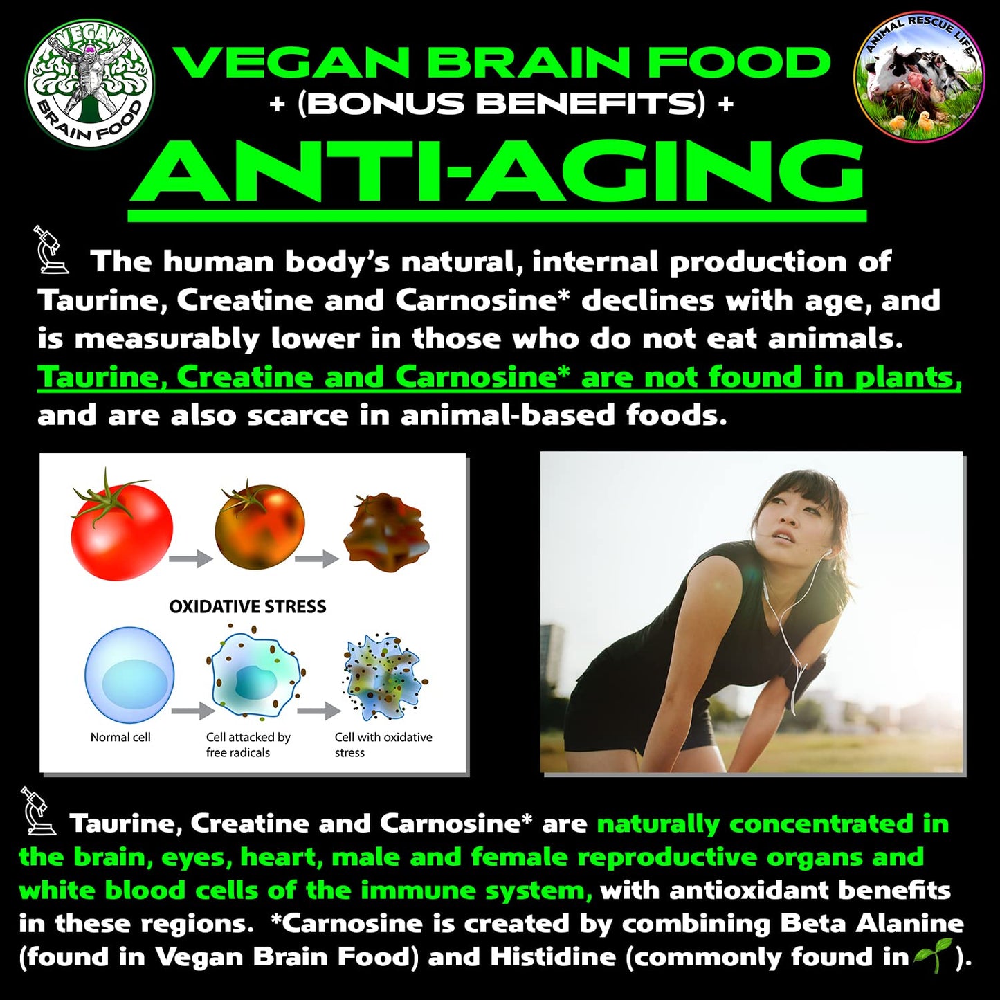 Vegan Brain Food Vegan Brain & Body Boost Powder 17.7