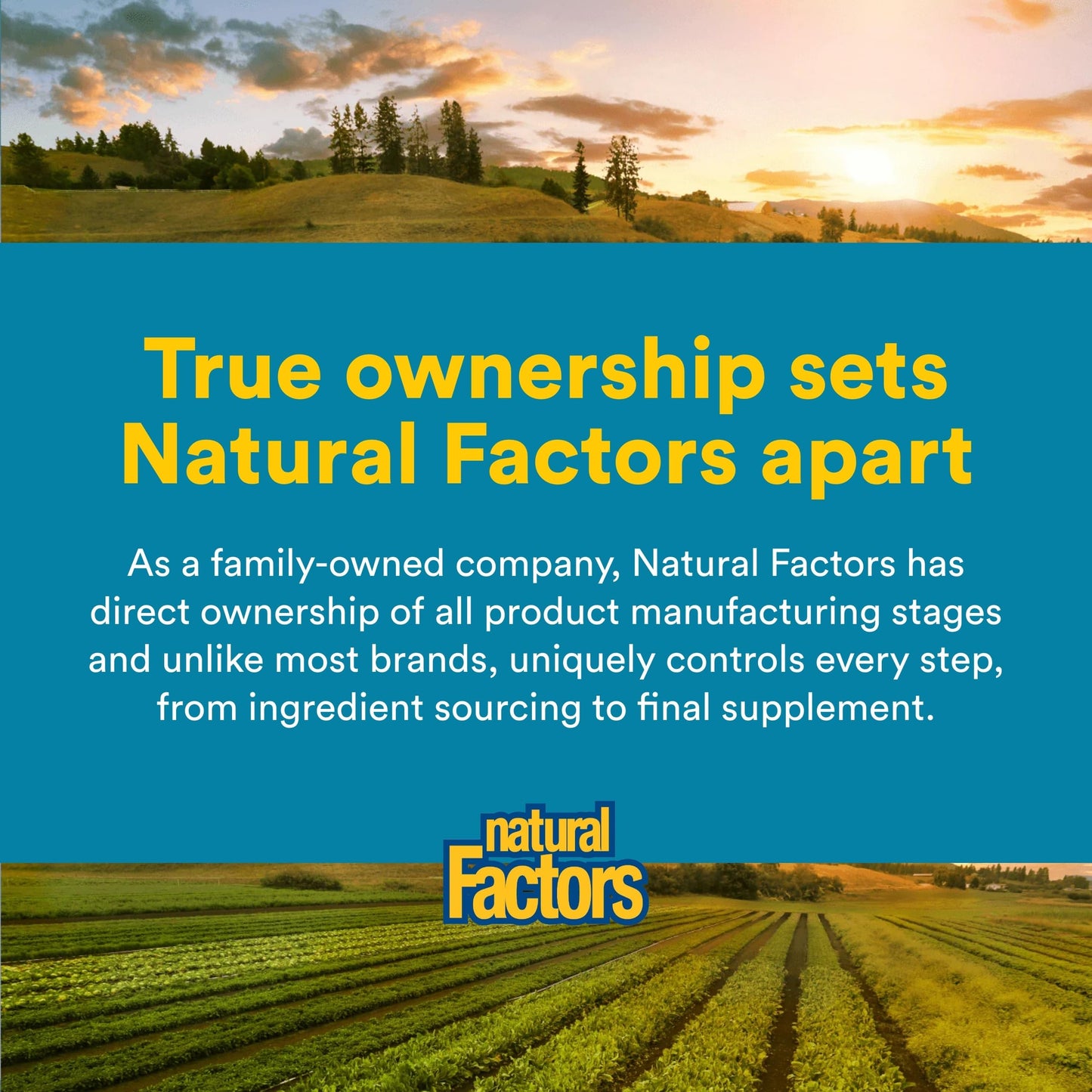 Natural Factors Ultimate Probiotic 12/12 Formula 120 Vegetarian Capsules
