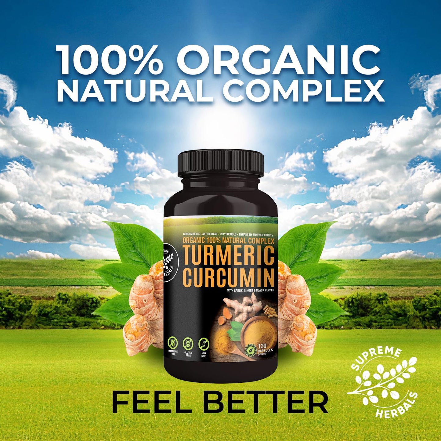 SUPREME HERBALS Turmeric Curcumin 500mg Capsules, 120 Vegan Capsules