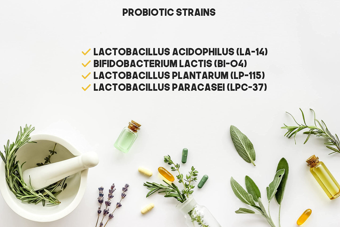 Bulk Buy Probiotic Blend Capsule 1050 Count