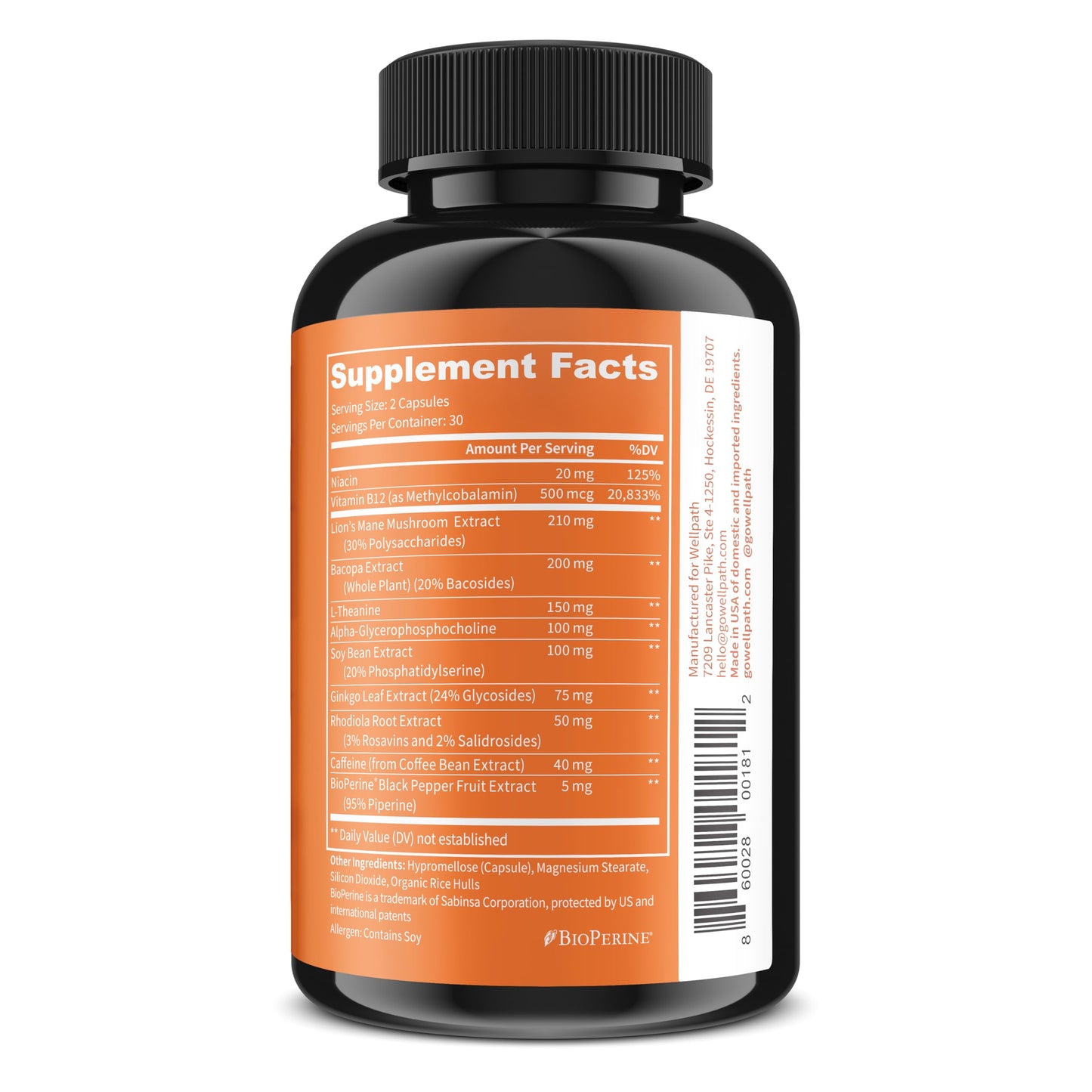 WellPath Mind Brain Supplement for Memory and Focus with Lion's Mane Capsules, 60 Count