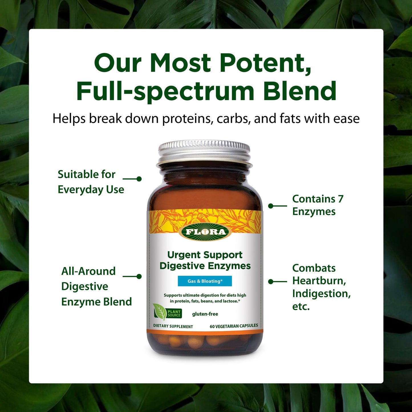 Flora Advanced Adult Enzyme Blend with Lactase Capsule, 60 Count