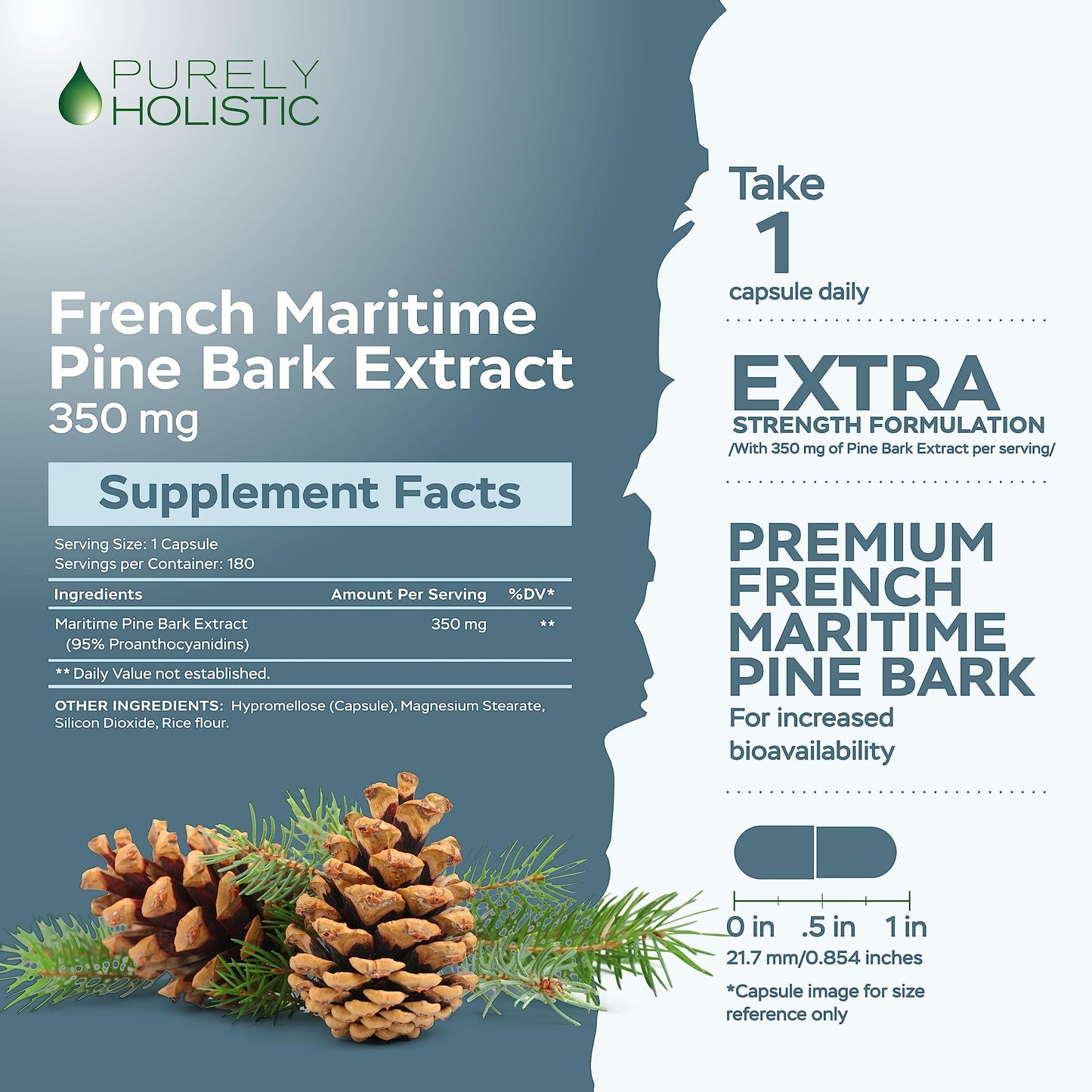 Purely Holistic French Maritime Pine Bark Extract Capsules, 180 Count