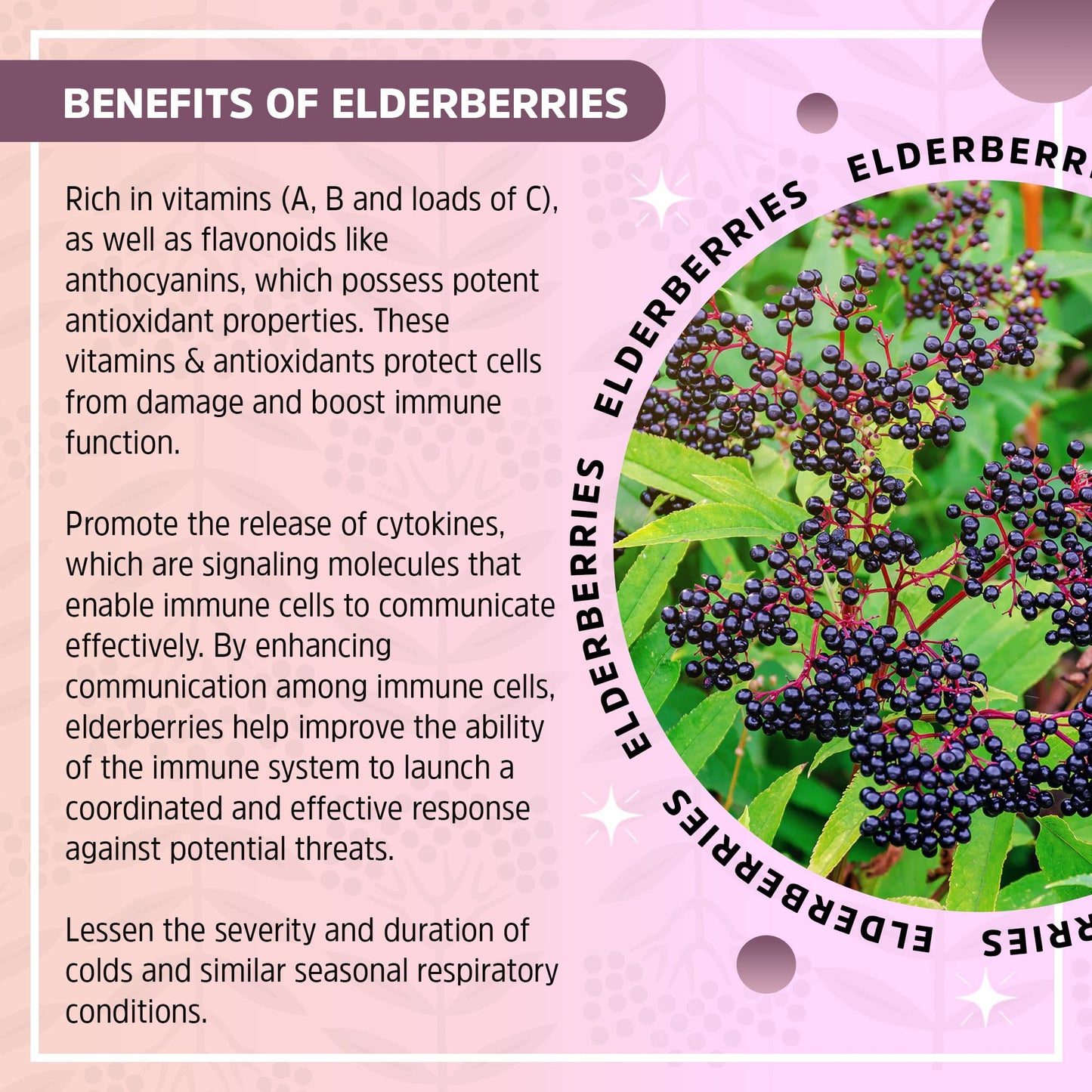 Seattle Elderberry Allergy Defense Gummies 1 Count