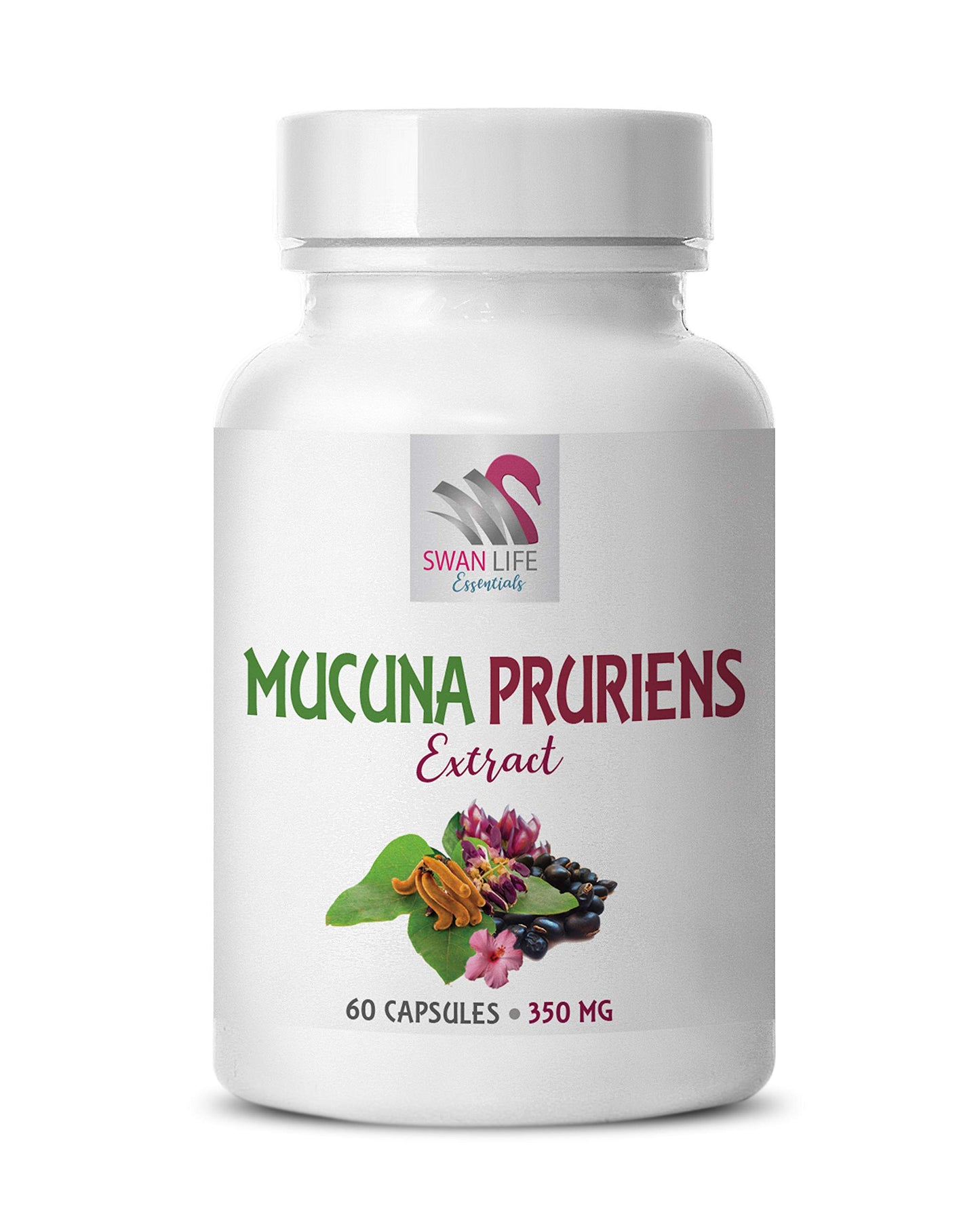 SWAN LIFE ESSENTIALS Mucuna Pruriens Extract Capsules, 60 Count