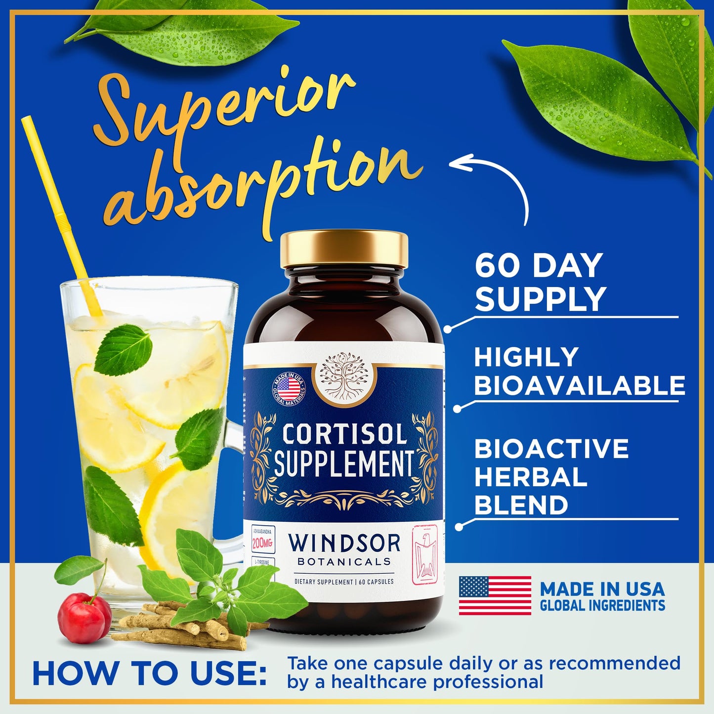 Windsor Botanicals 15-IN-1 Cortisol Supplements Capsules, 60 Count