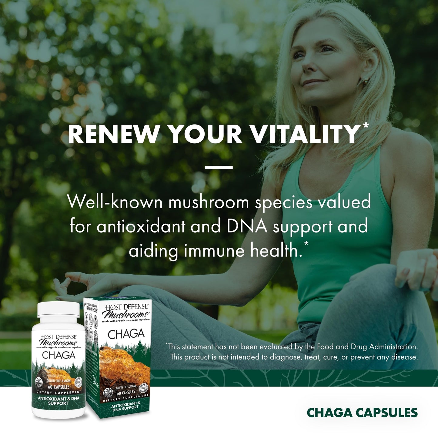 Host Defense Chaga 60 Capsules