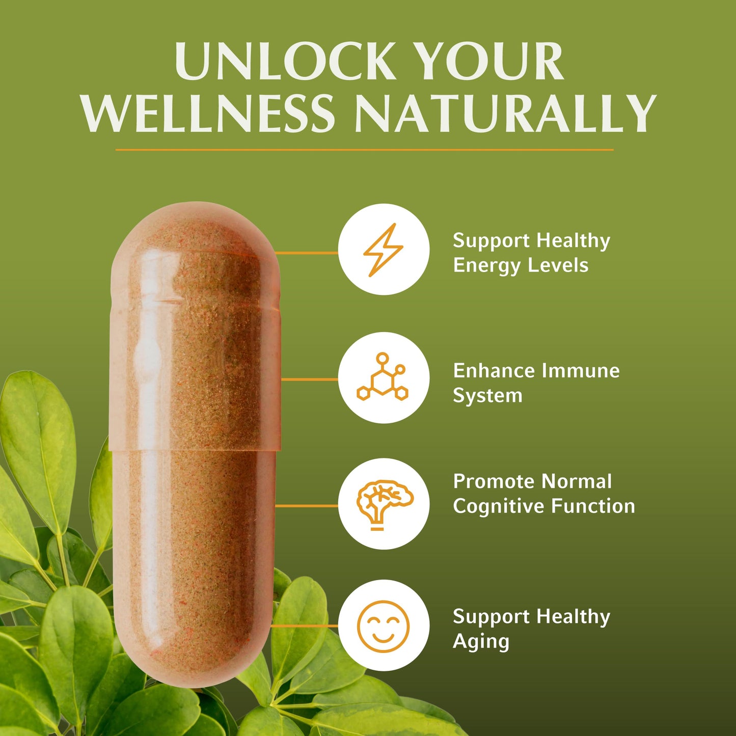 Jiva Botanicals Shilajit Capsules 700 mg with Fulvic Acid – Shilajit Supplement for Men & Women – 90 Vegan Capsules