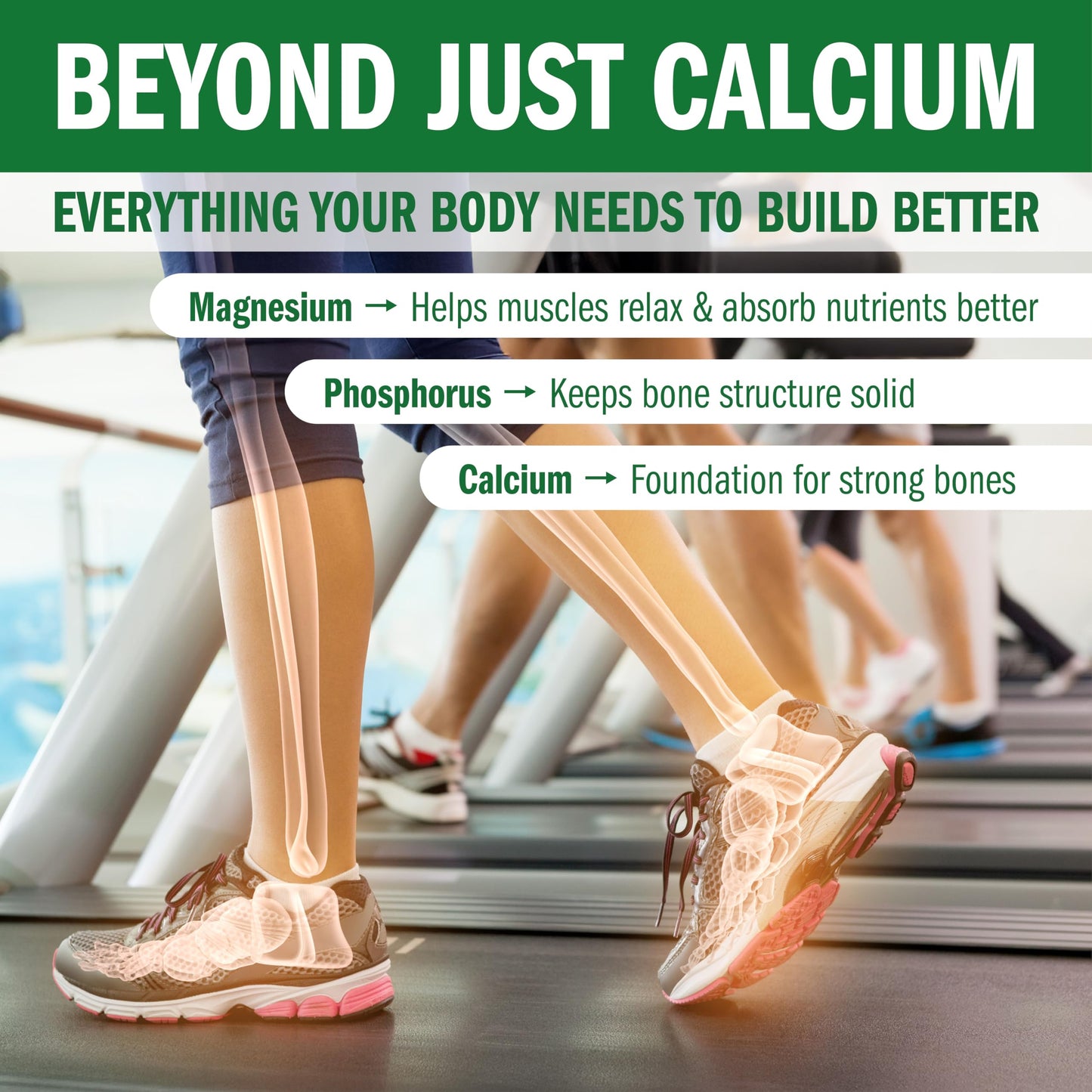 Biotek Pro-Cal Calcium Supplements 240 Capsules