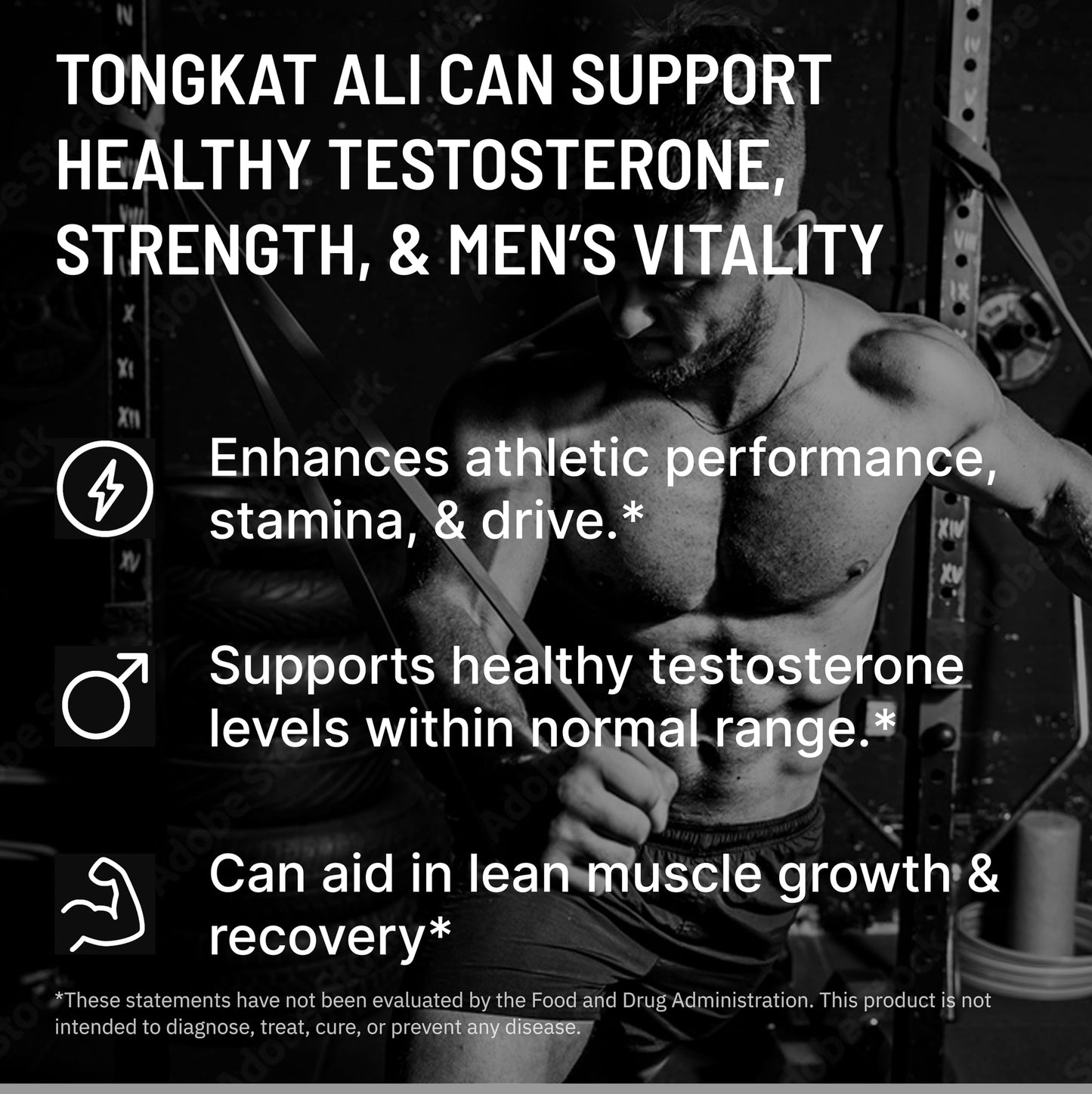 STACKED LAB Tongkat Ali for Men – 500mg Longjack Extract Standardized to 2% Eurycomanone | Supports Strength, Vitality & Hormone Balance | With DIM & BioPerine | 60 Capsules