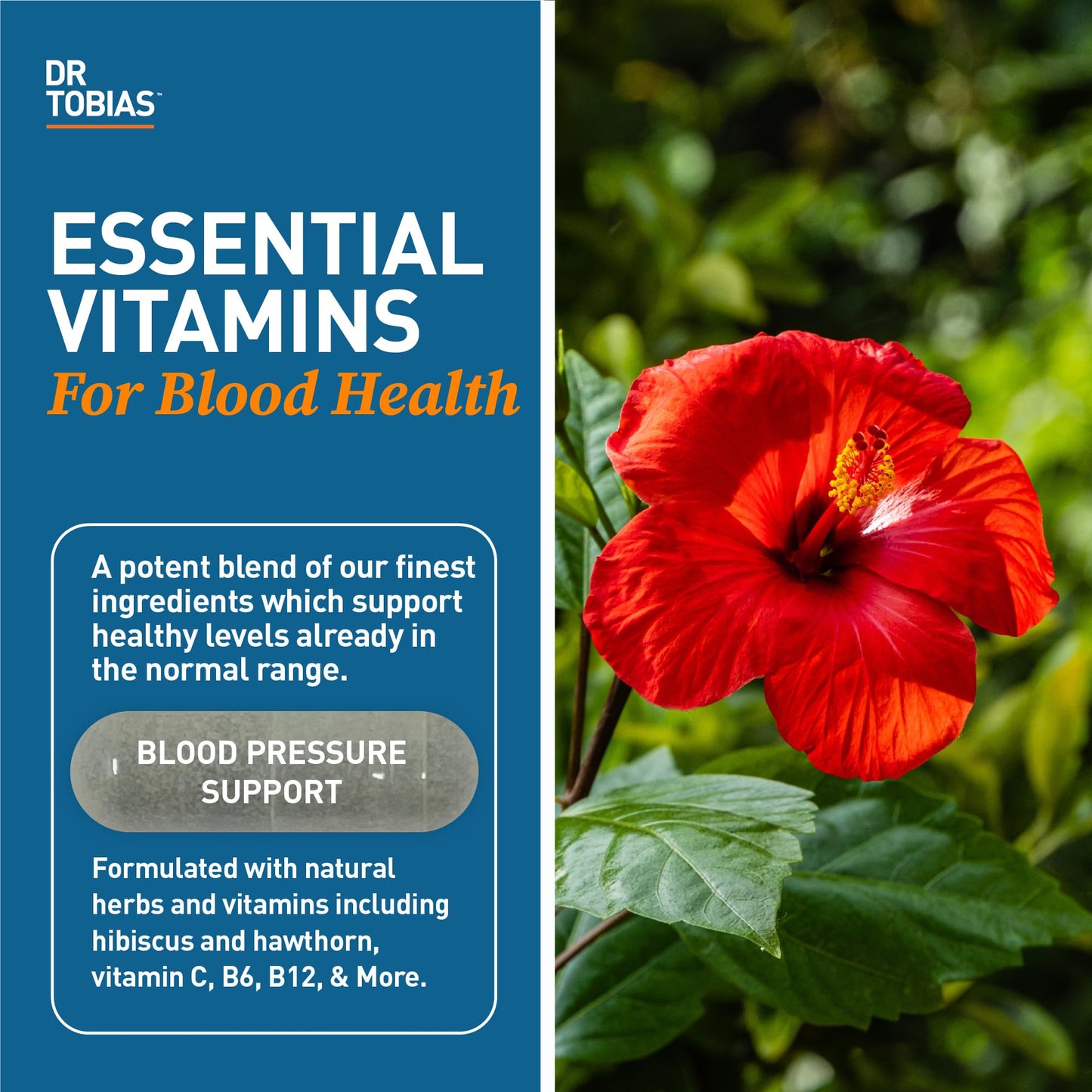 Dr. Tobias Omega 3 Fish Oil & Blood Pressure Support Supplements for Heart, Brain, Immune, Circulatory Health, with Vitamin C, B6, B12, Niacin, Folate & Herbs Softgel 150