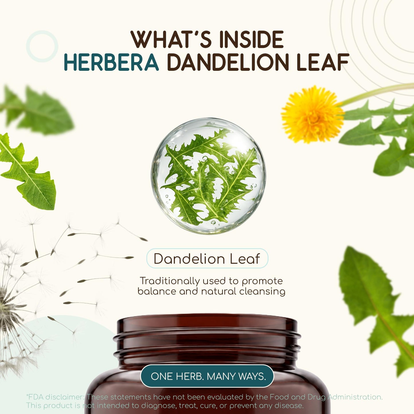 HerbEra Dandelion Leaf Capsules, USDA Organic, Taraxacum Officinale, Digestive & Antioxidant Support, 60 Capsules