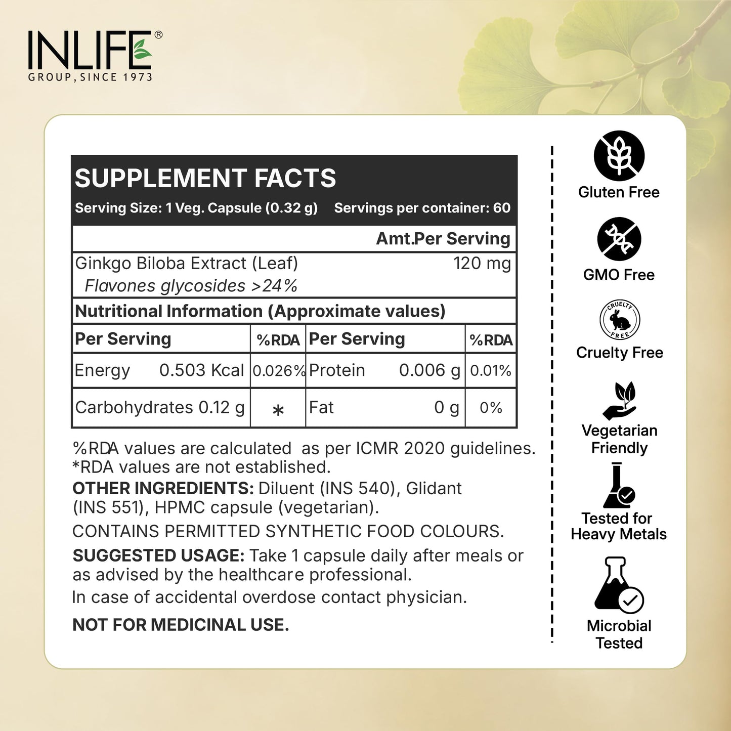 INLIFE Ginkgo Biloba Extract 120mg Capsule, 1 Count