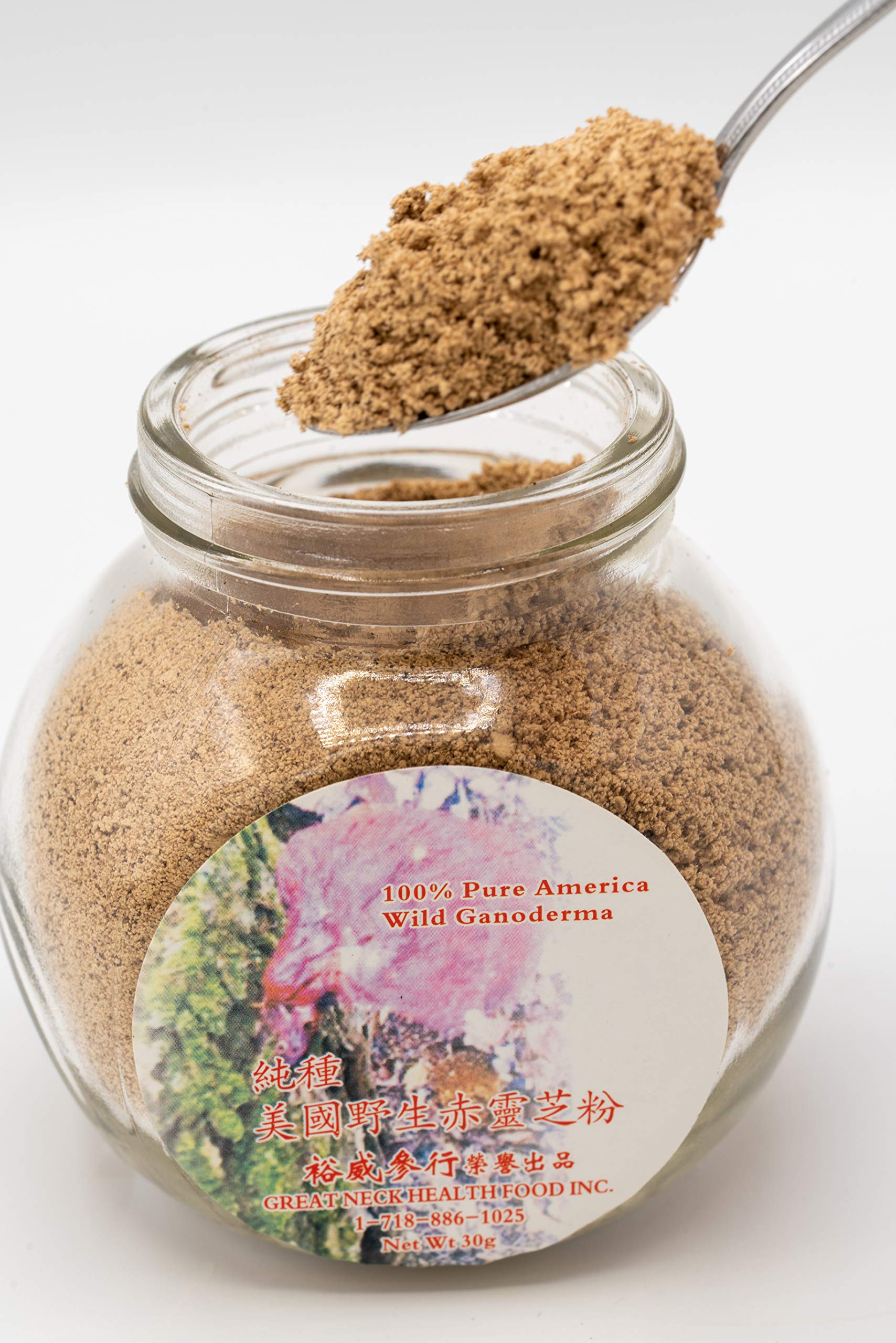 GREAT NECK HEALTHY FOOD INC. Wild American Ganoderma Lucidum Powder, 1.05 oz