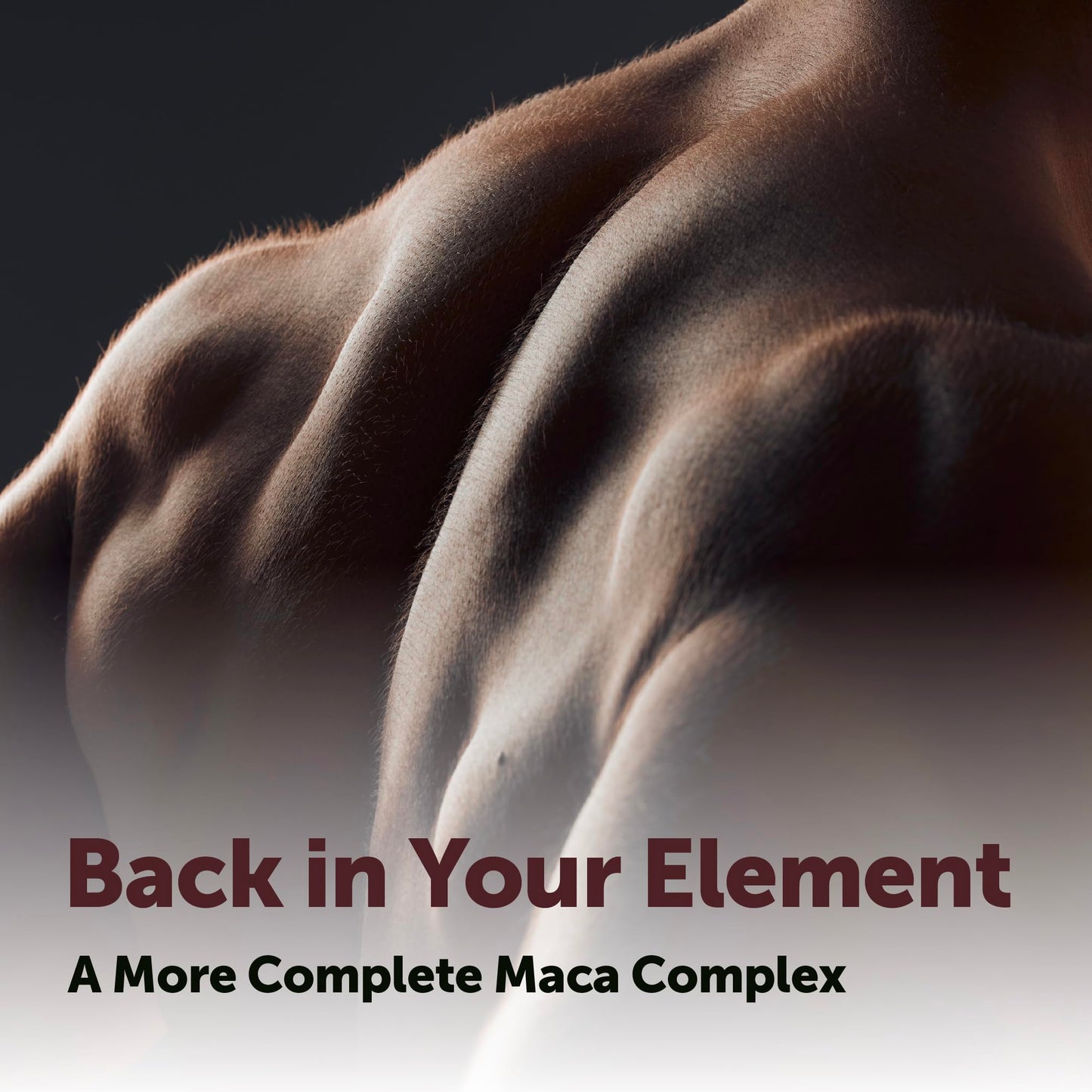 Micro Ingredients Maca Root Complex for Women & Men Softgels 300