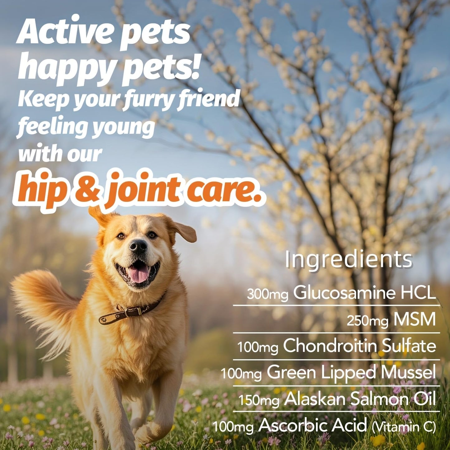 MEGNETA Hip and Joint Supplement for Dogs Chewable, 90 Chews