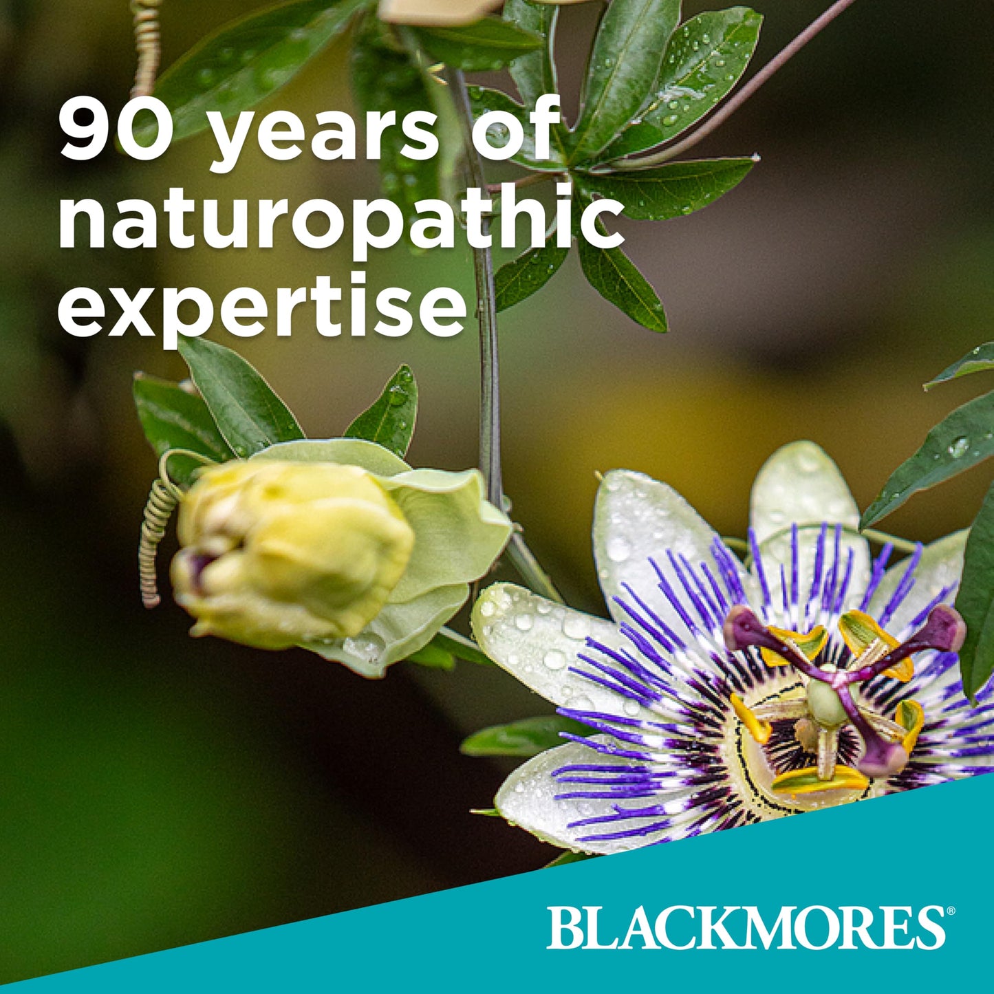 Blackmores Conceive Well Gold 28 Tablets + 28 Capsules