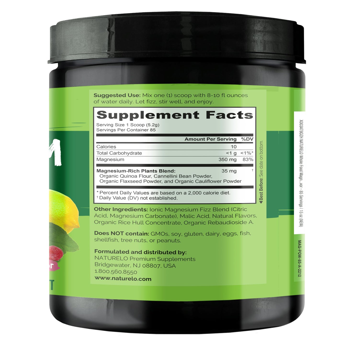 NATURELO Magnesium Powder 31.2 oz (Pack of 2)