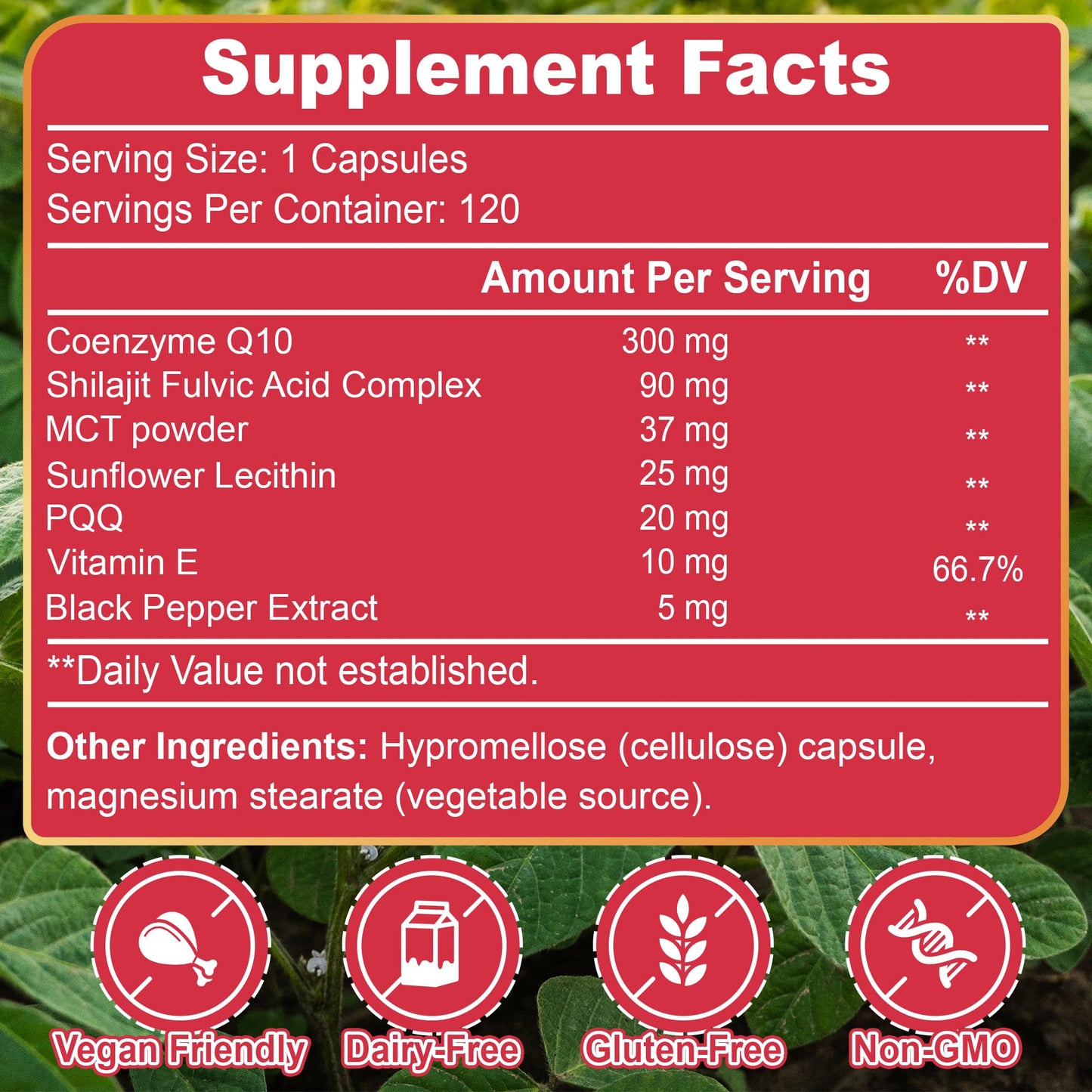 Generic DYHONKEE CoQ10 Supplement 300mg with PQQ, Powerful Formula for Energy Support, Enhanced Absorption, 120 Capsules