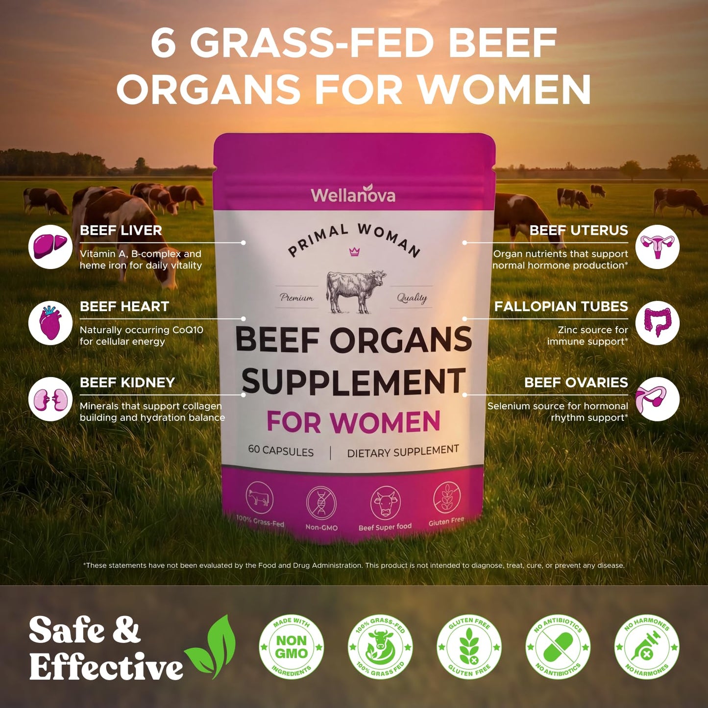 Wellanova Primal Beef Organ Supplement for Women, Grass-Fed Ancestral Superfood Capsule, 60 Capsules