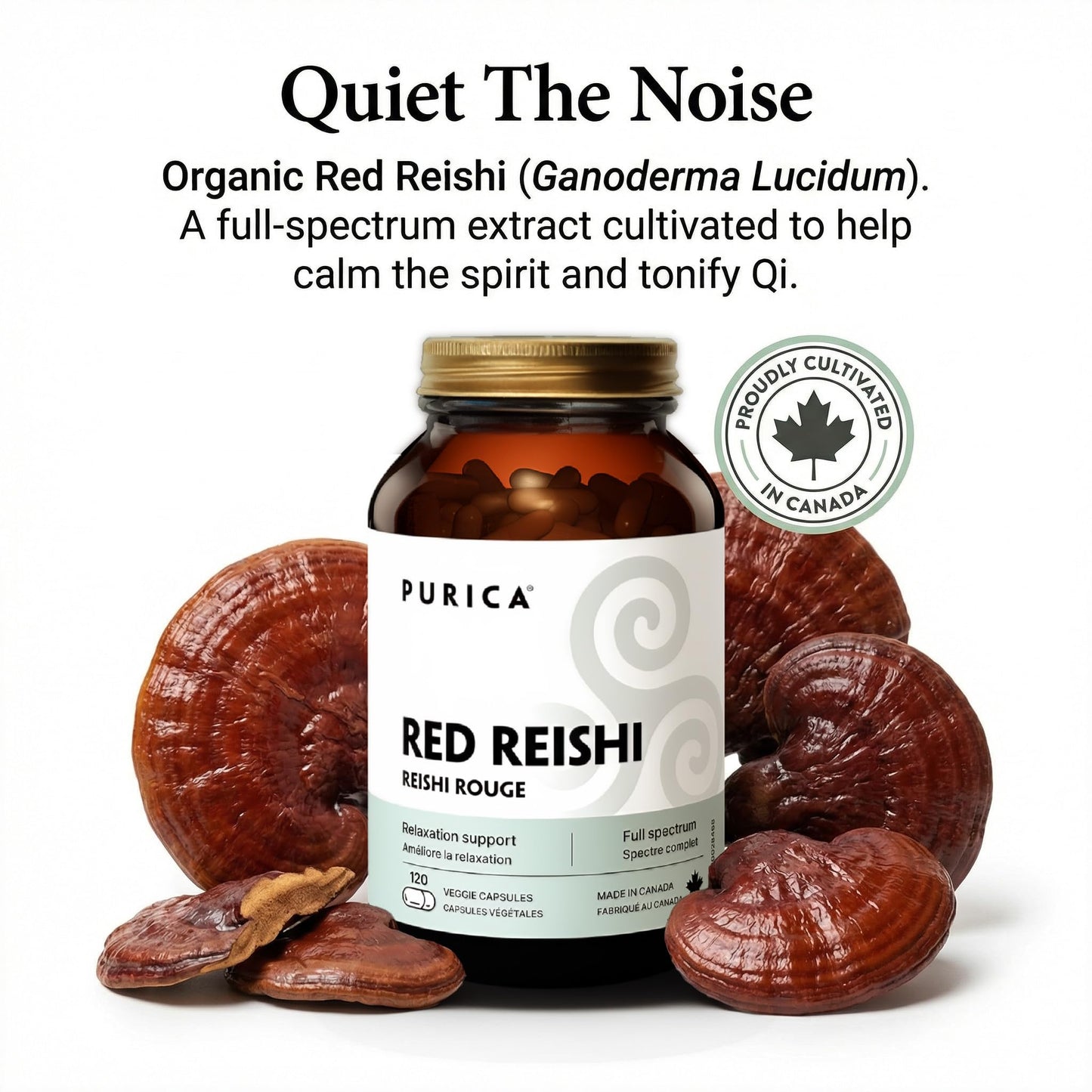 PURICA Red Reishi Capsules 1 Count