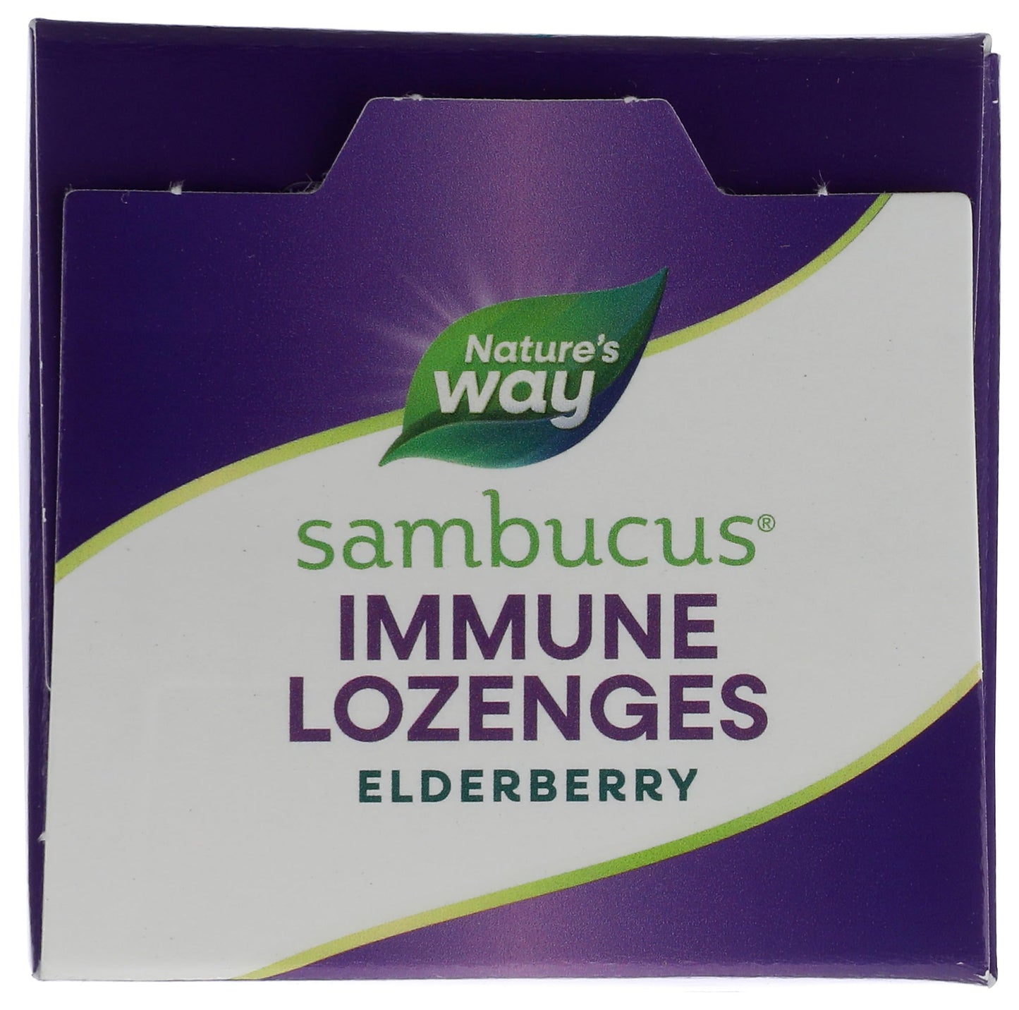 Nature's Way Sambucus Original Elderberry Tablets 30