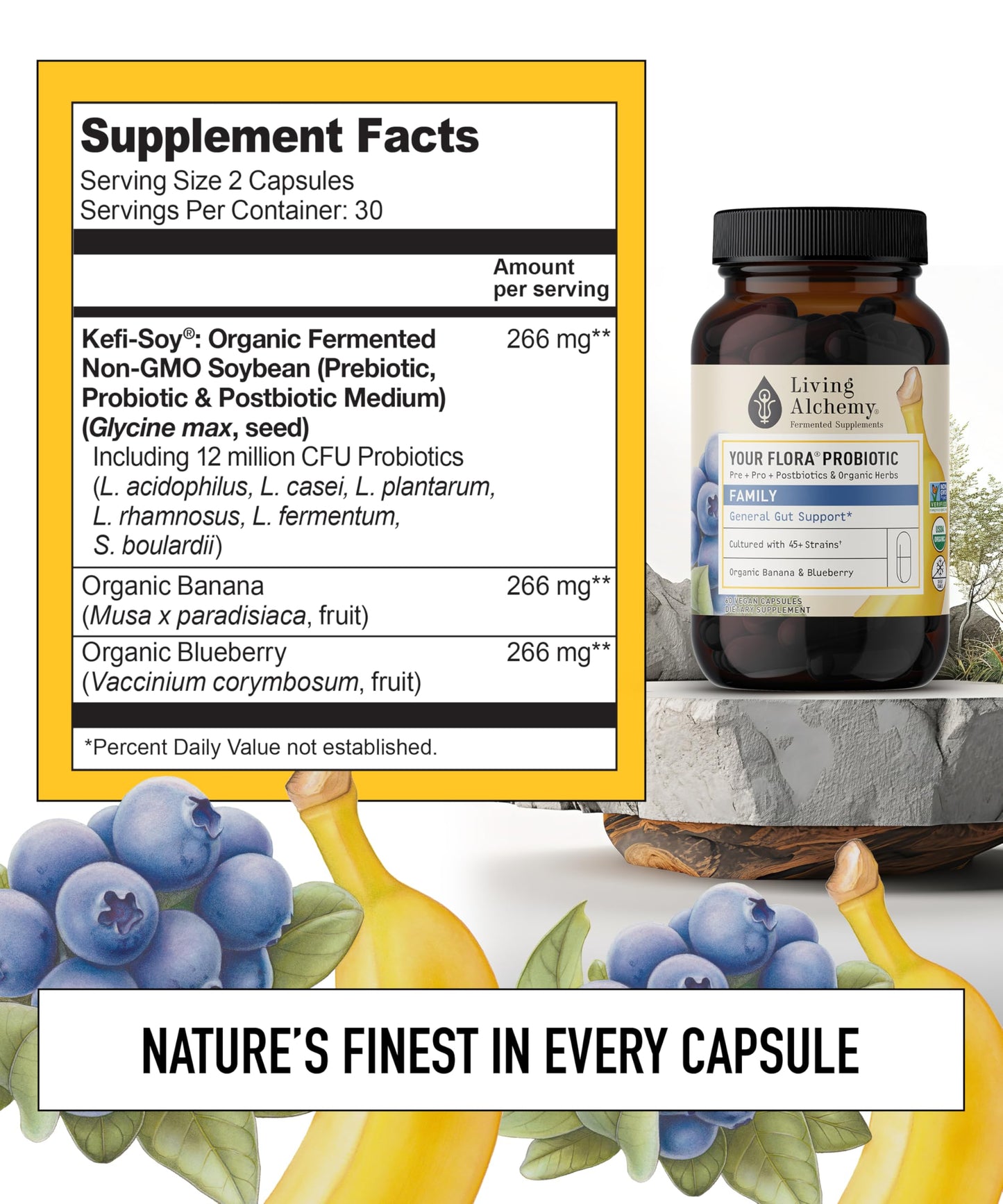 Living Alchemy Your Flora Probiotic Family Capsule 60 Capsules