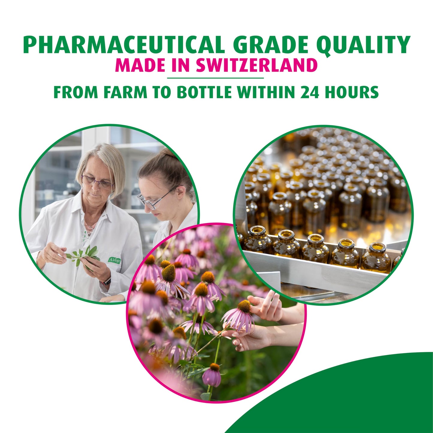 A.Vogel Echinaforce Tablets 120 Tablets