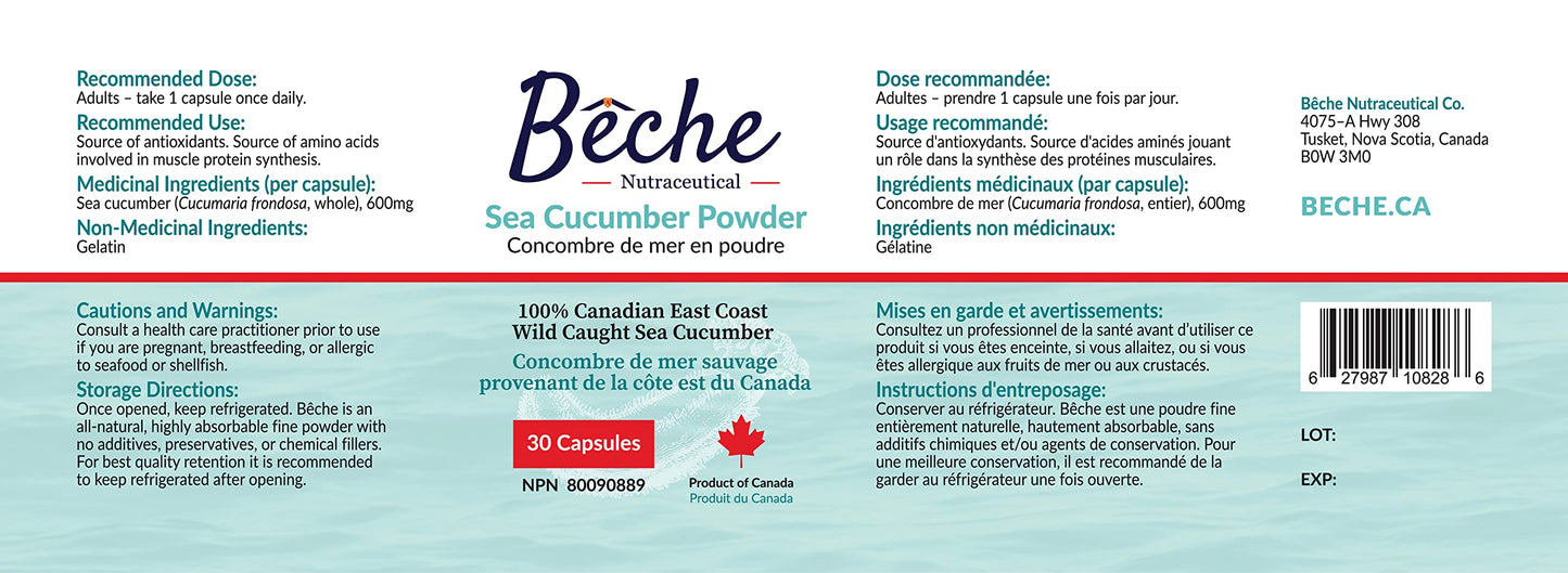 Bêche Sea Cucumber Powder Capsule 30 Capsules