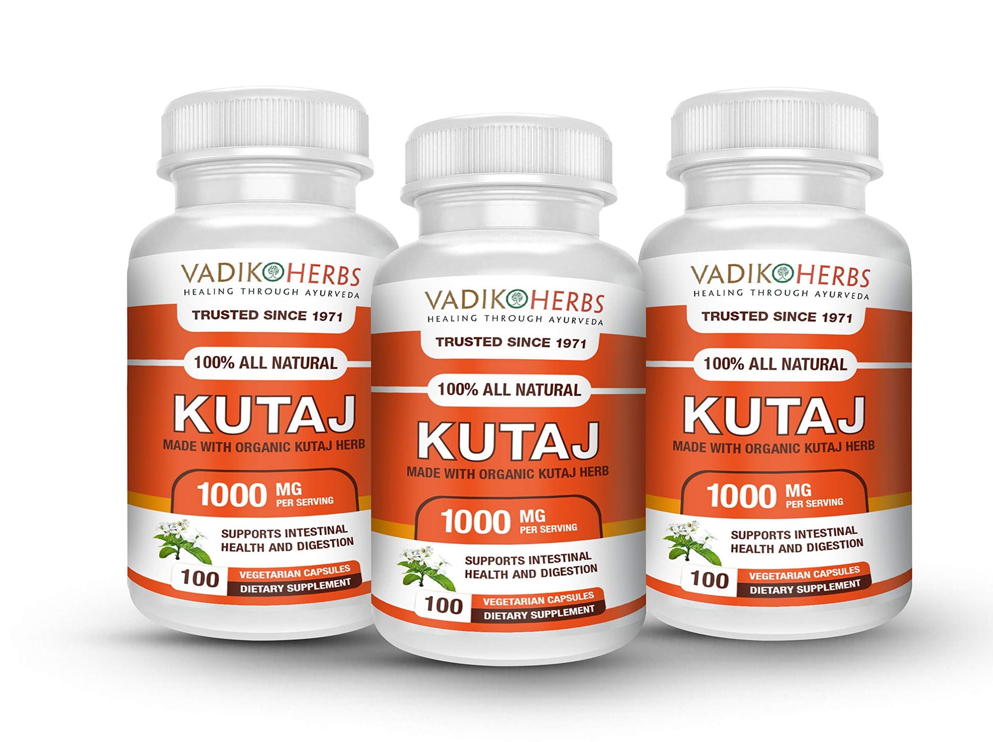 Vadik Herbs Kutaj (Kutaja, Holarrhena antidysenterica) Powder, 300